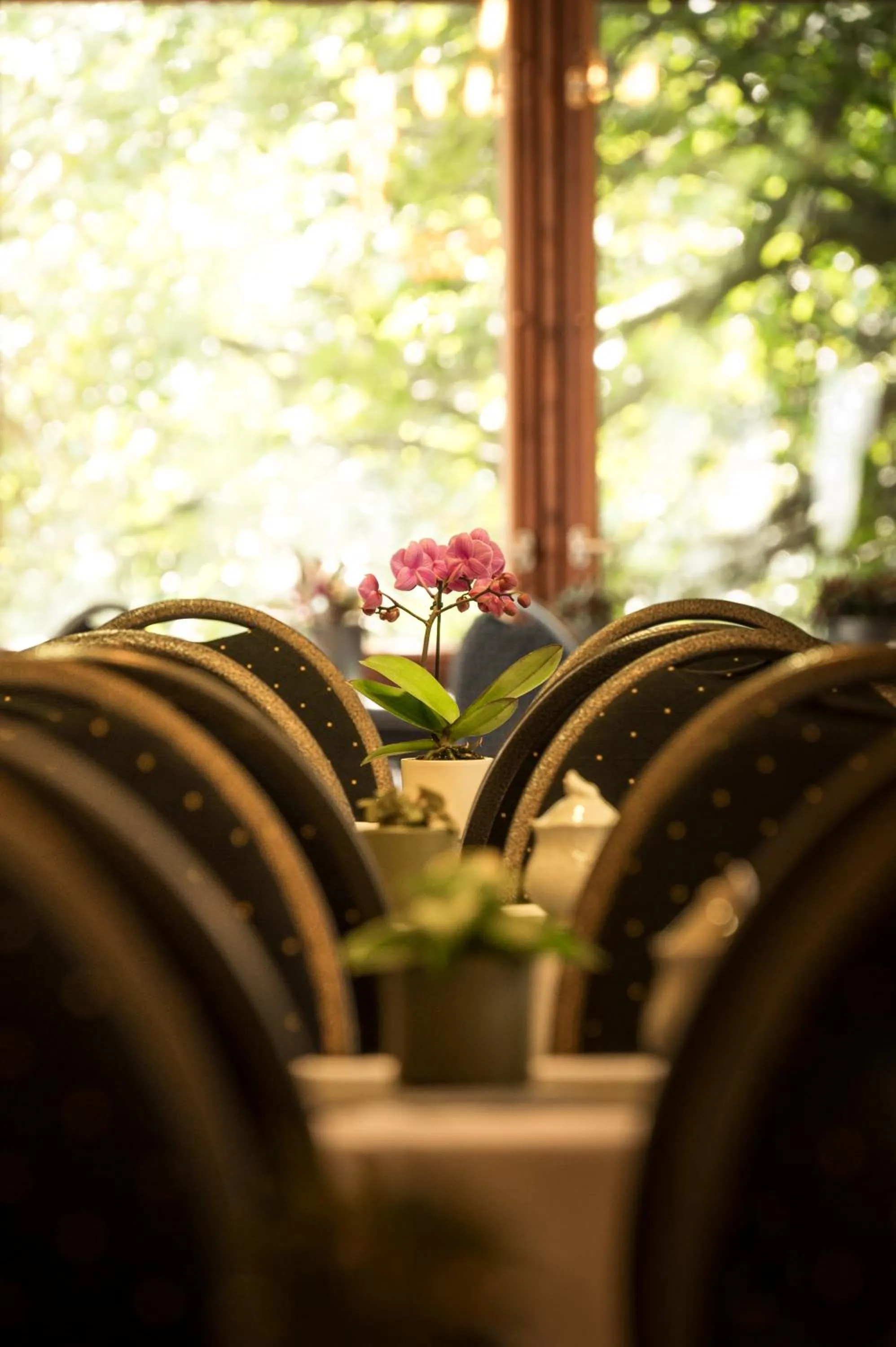Banquet/Function facilities in Hotel Mühlental