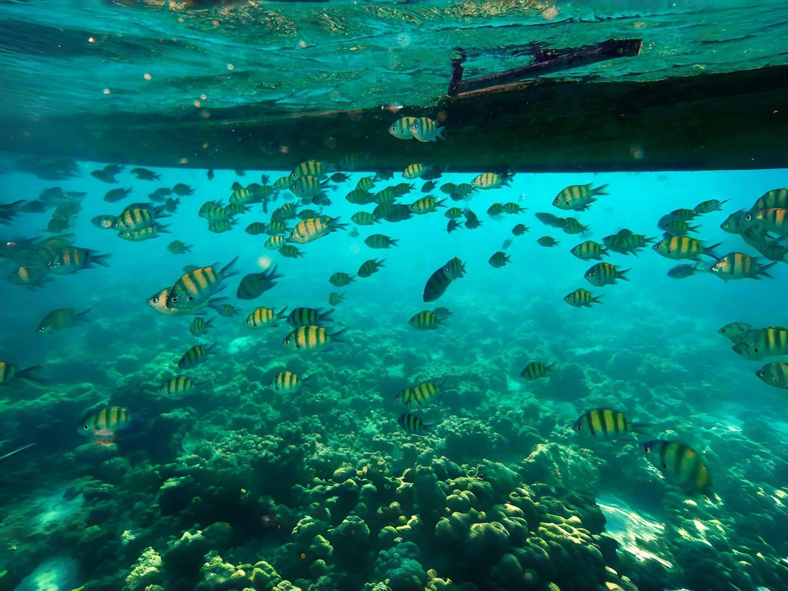 Activities in Andaman Sea Best Pool Access and Villas