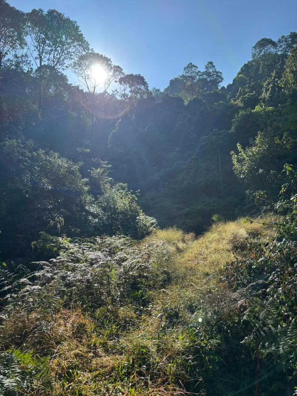 Activities in Taj Guras Kutir Resort & Spa, Gangtok