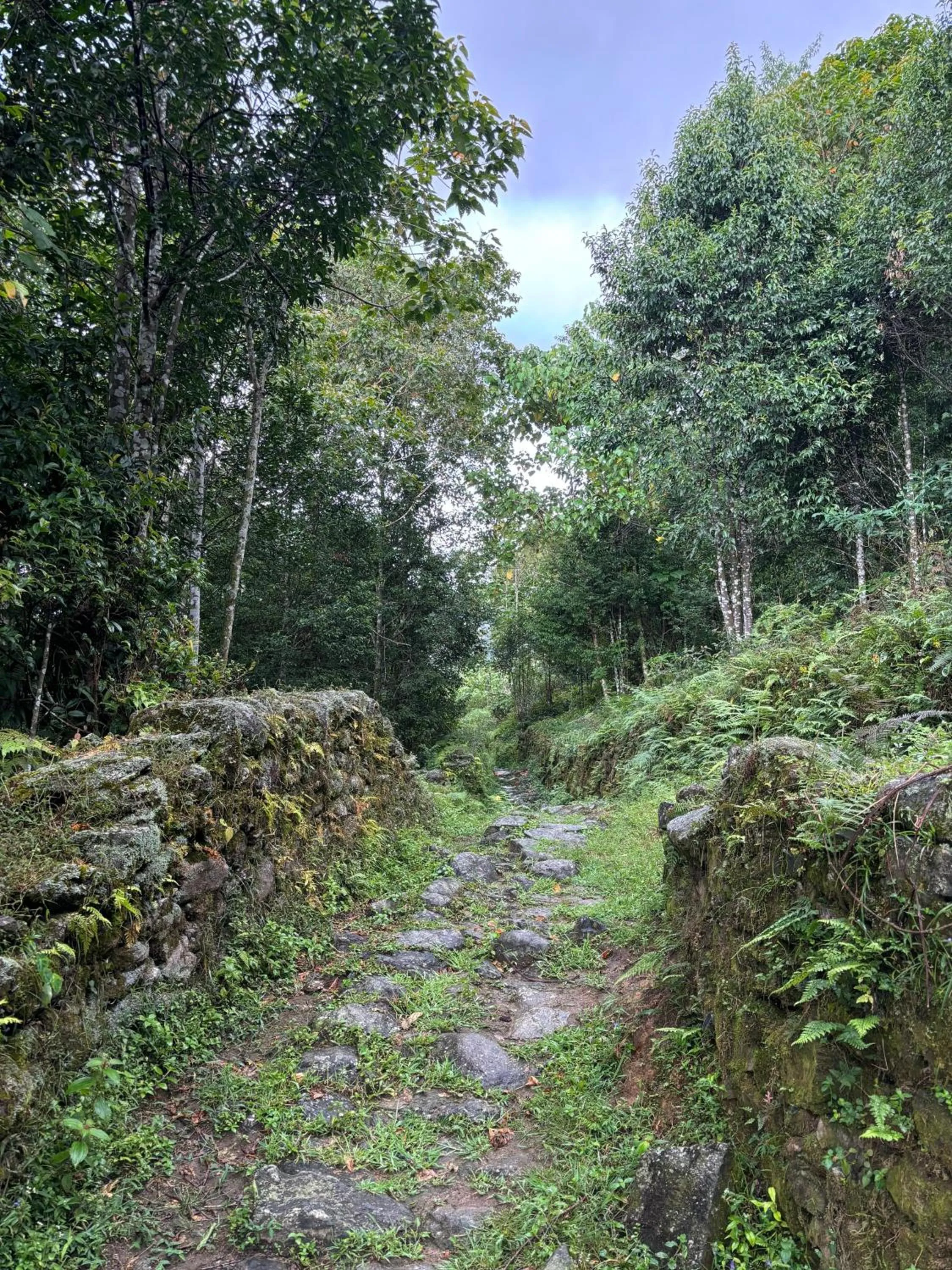 Activities in Taj Guras Kutir Resort & Spa, Gangtok