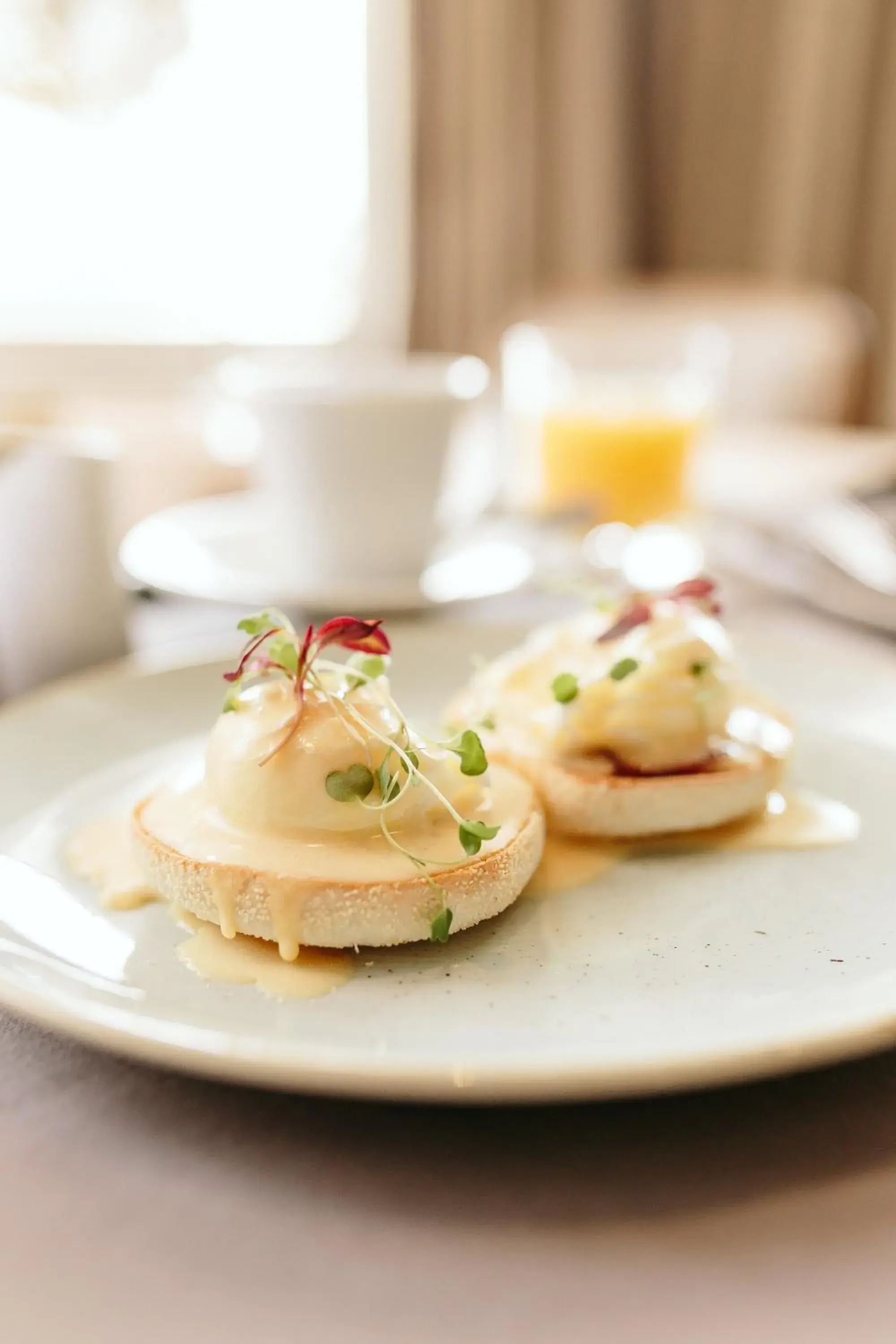 Food close-up in Murrayfield Hotel Food close-up in Murrayfield Hotel