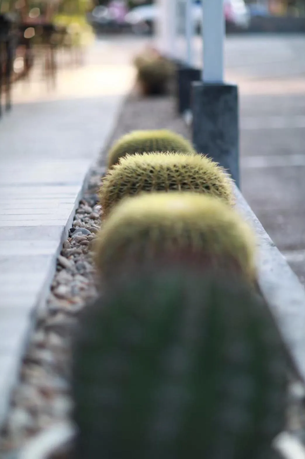 Facade/entrance in First Residence