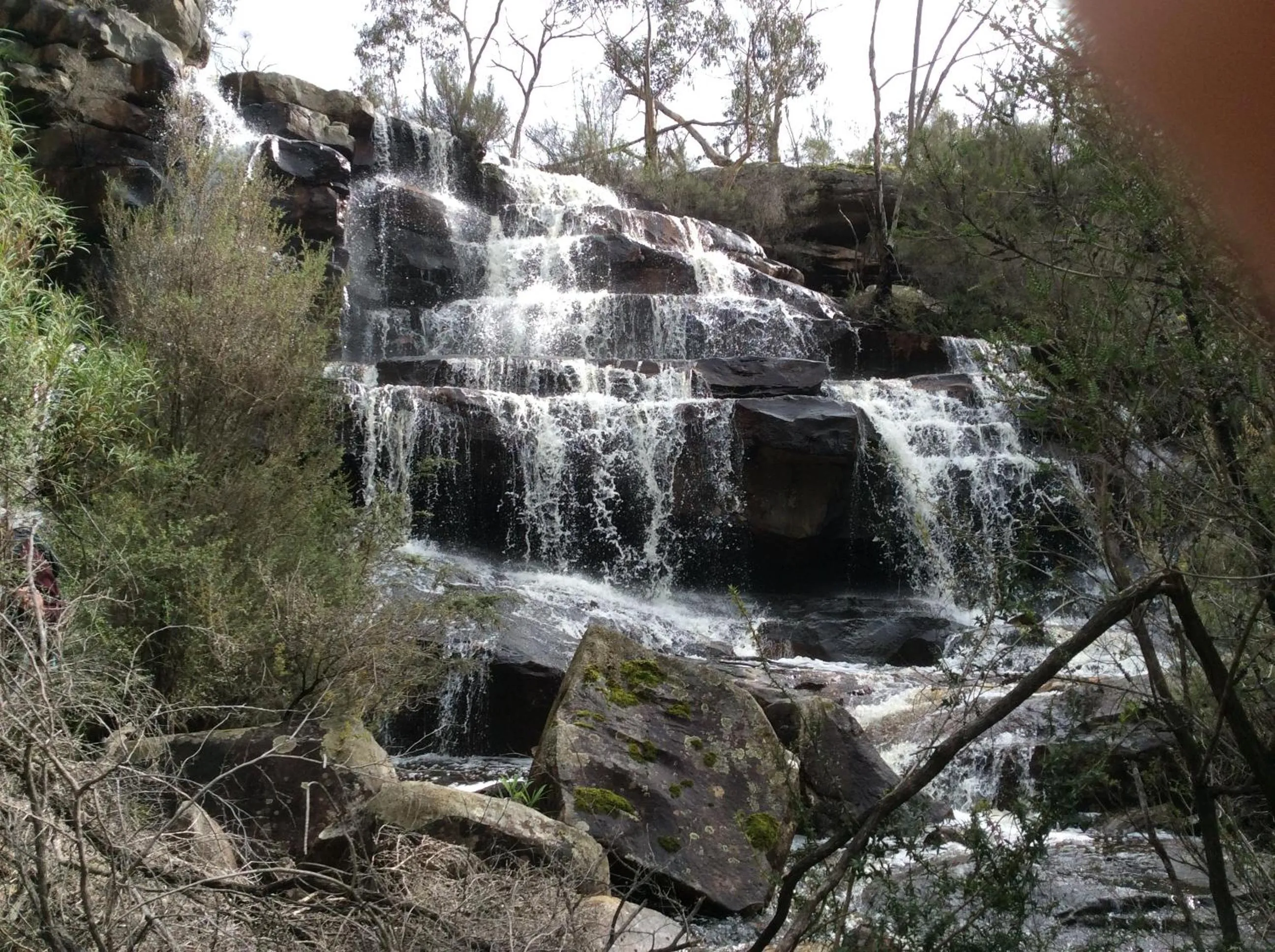 Natural landscape in Breeze Holiday Parks - Halls Gap