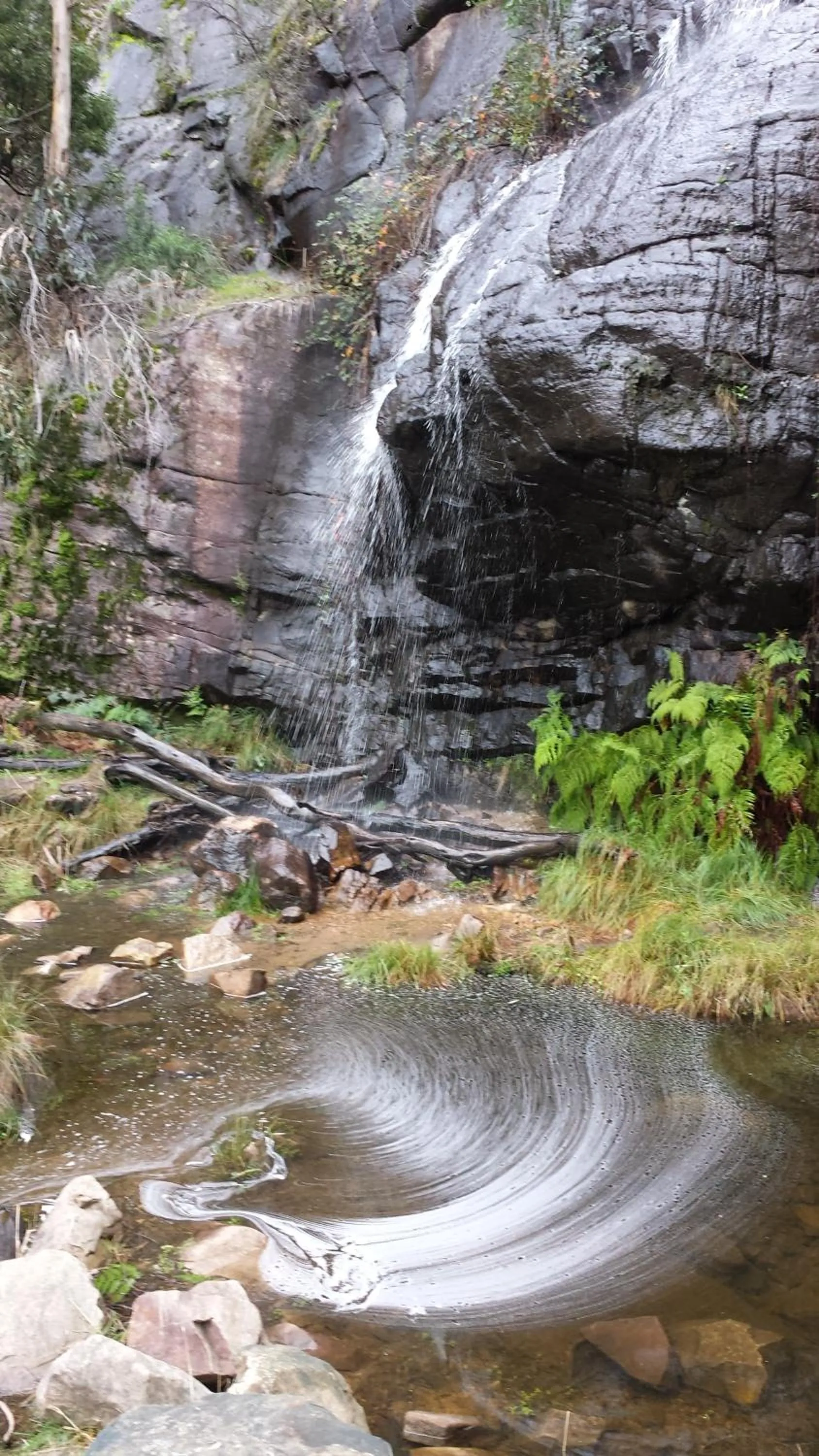 Natural landscape in Breeze Holiday Parks - Halls Gap