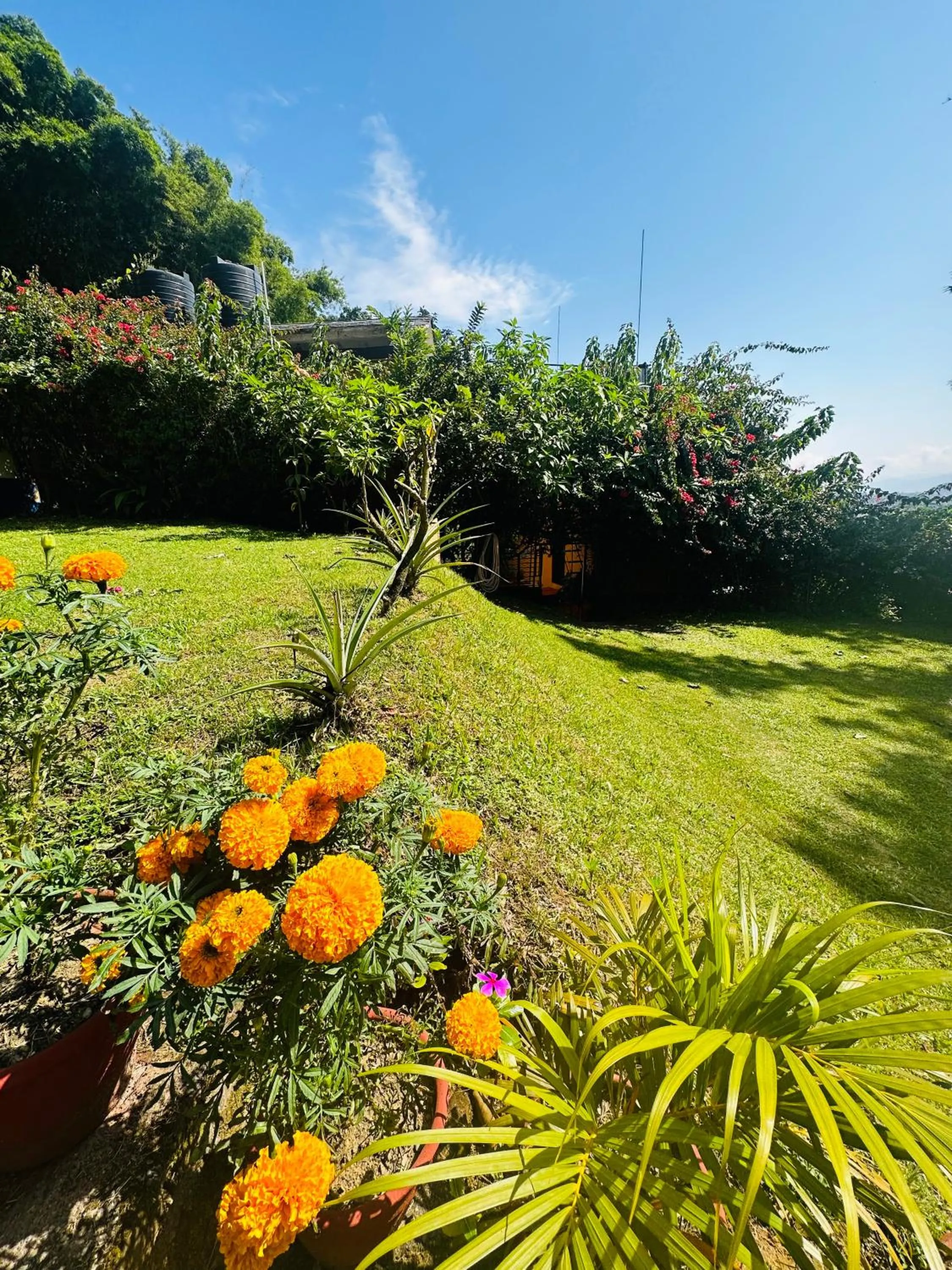 Day in Hotel Tourist Residency