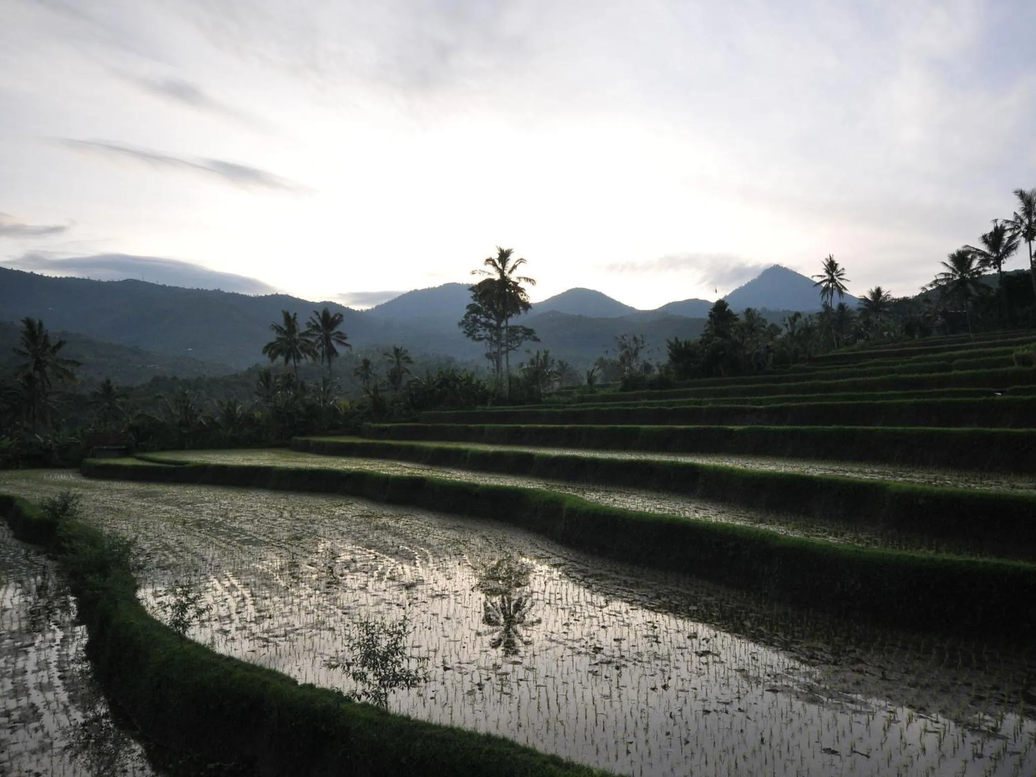 On site in Lesong Hotel and Restaurant