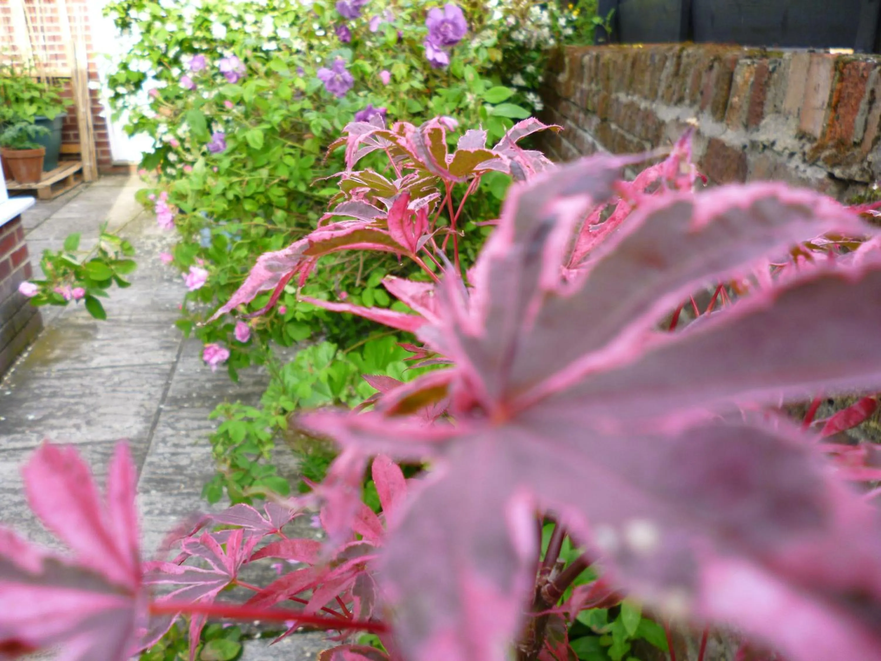 Decorative detail in Copperfields Guest House