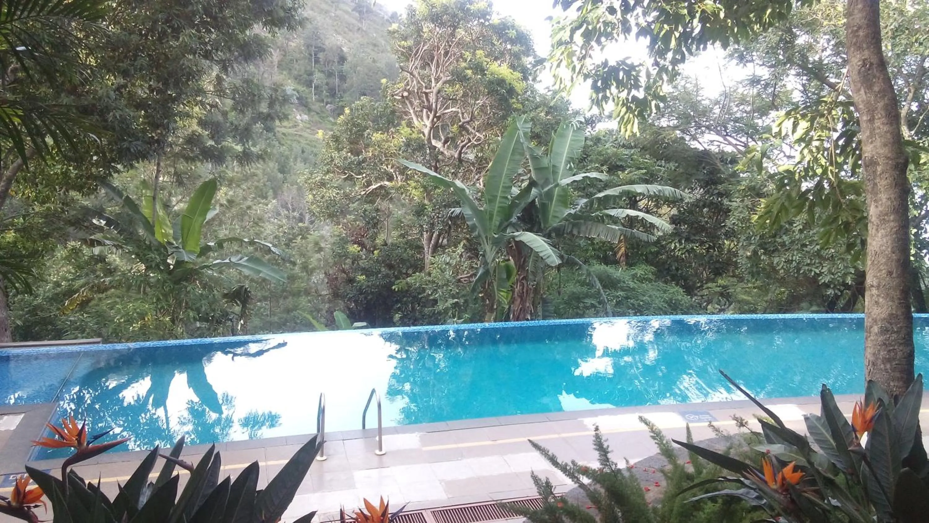 Swimming pool in GReaT Trails Yercaud by GRT Hotels