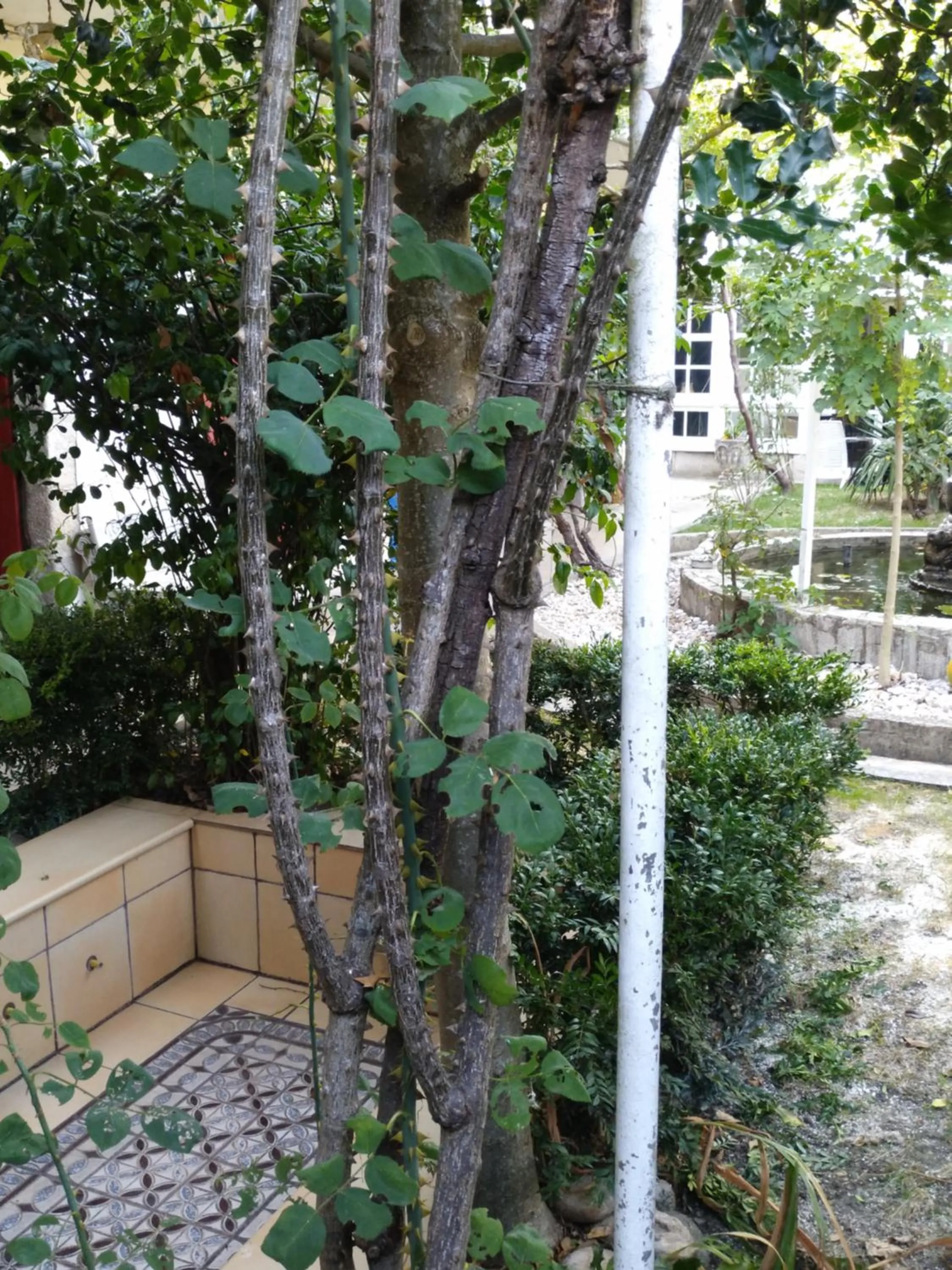 Property building in Pension-Albergue Don Alvaro