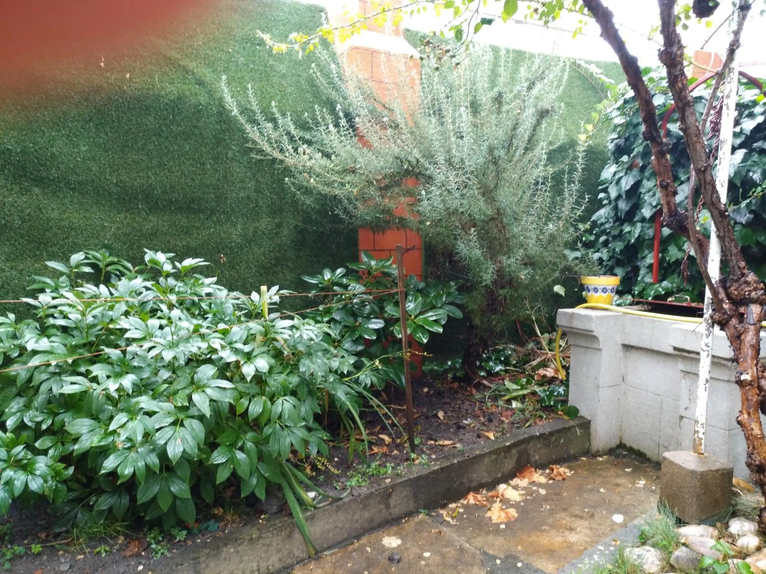 Property building in Pension-Albergue Don Alvaro