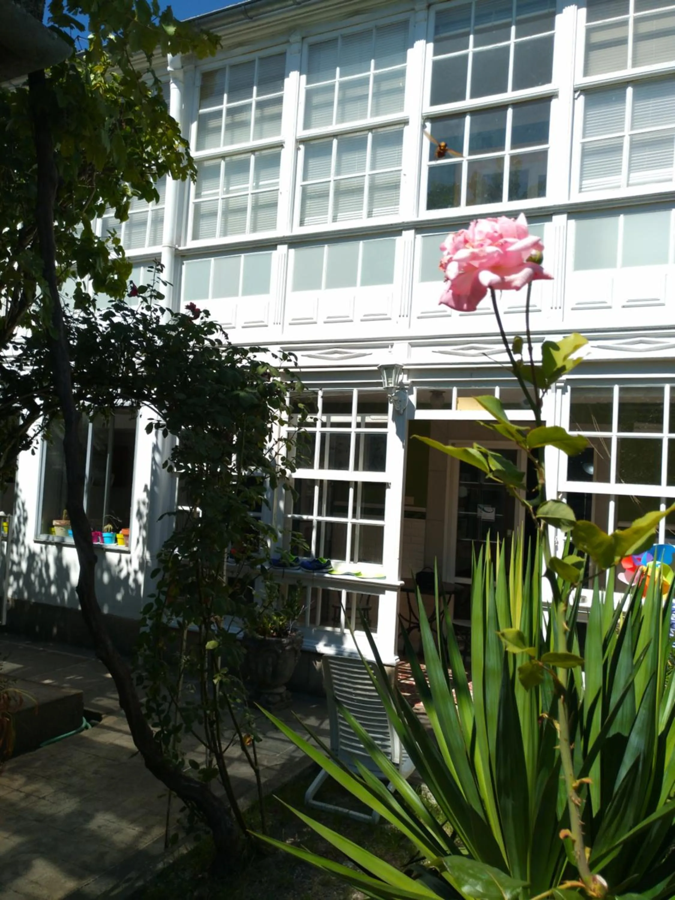 Property building in Pension-Albergue Don Alvaro