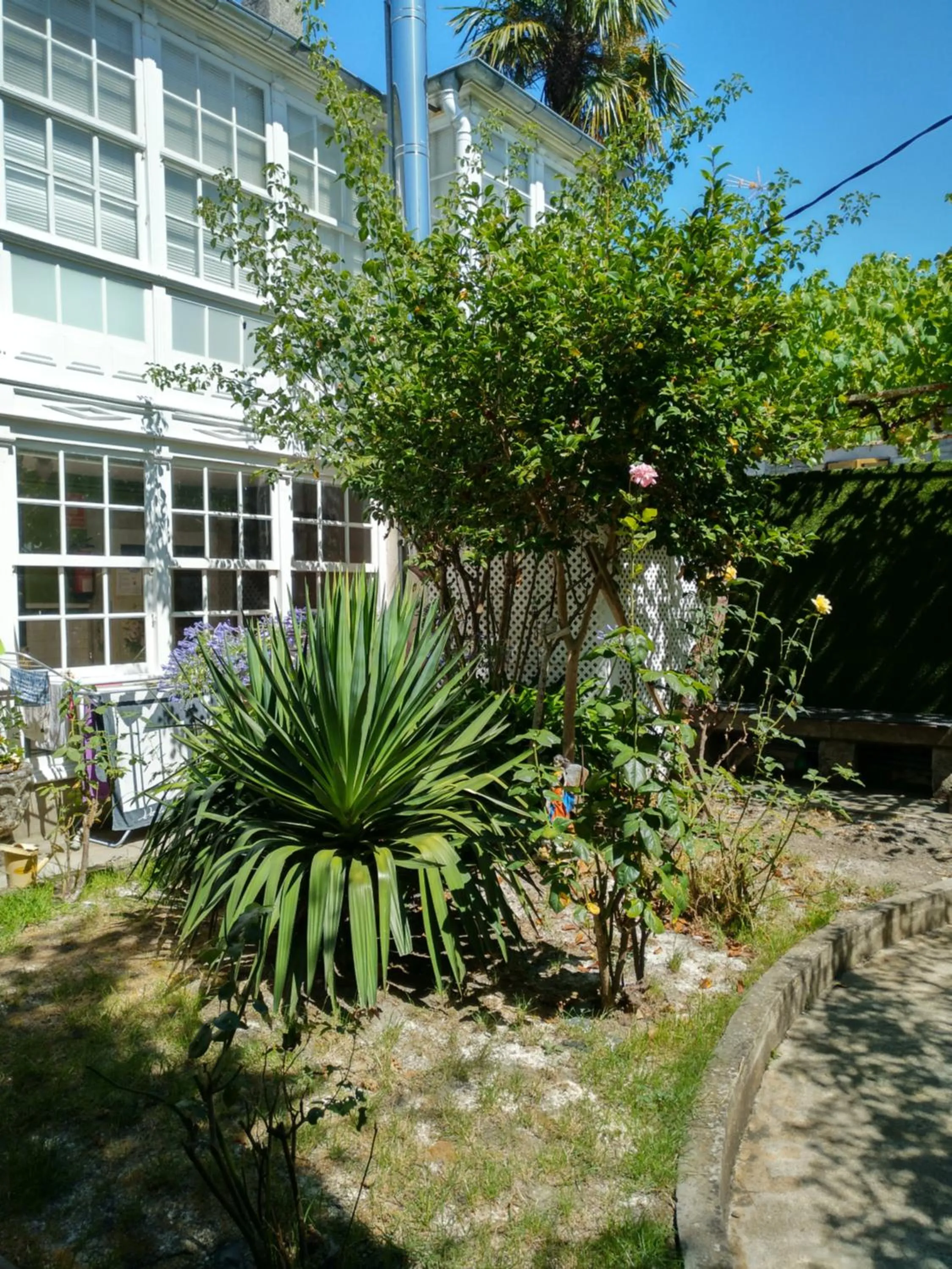 Property building in Pension-Albergue Don Alvaro