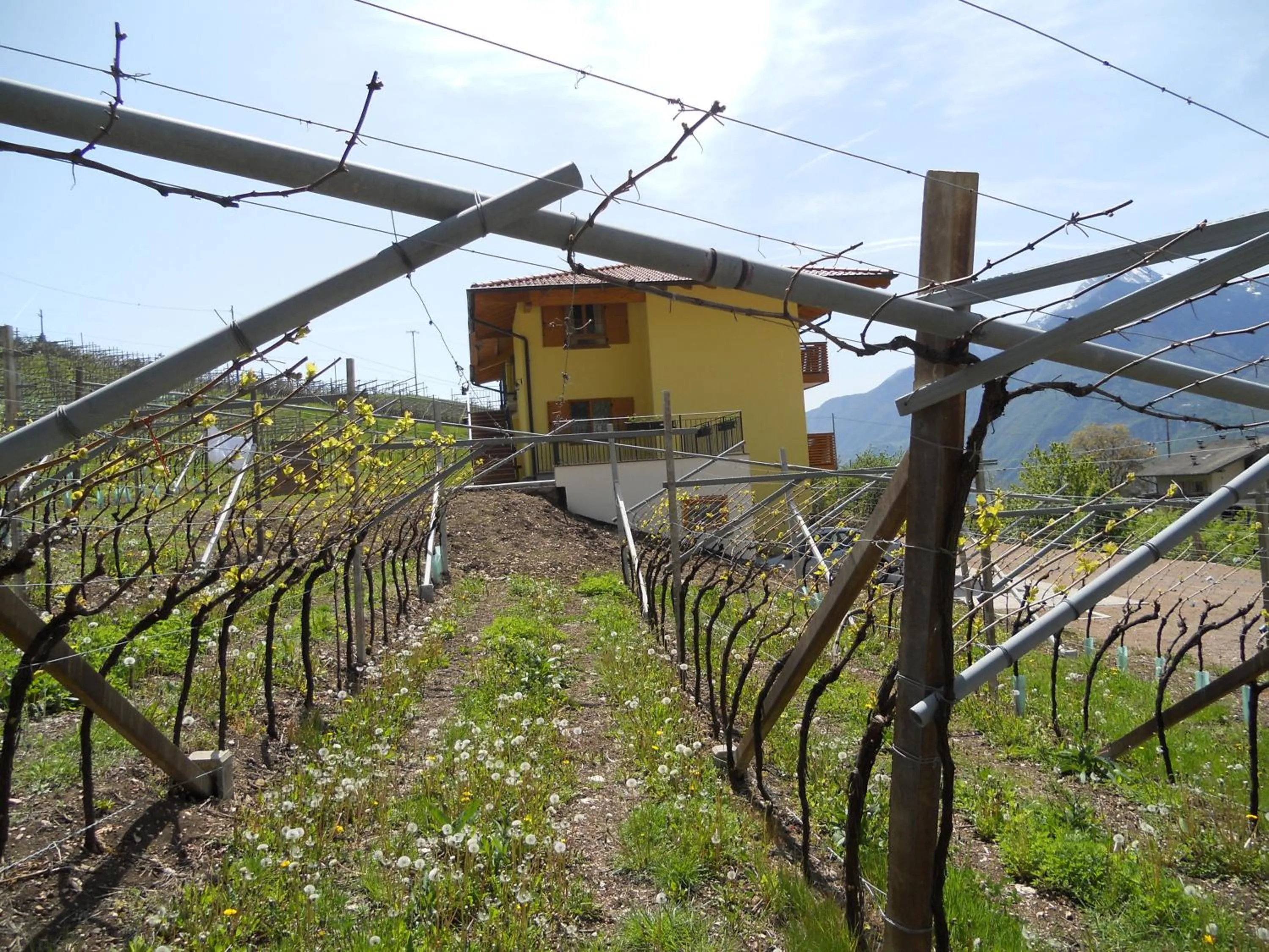 Agritur al Vigneto