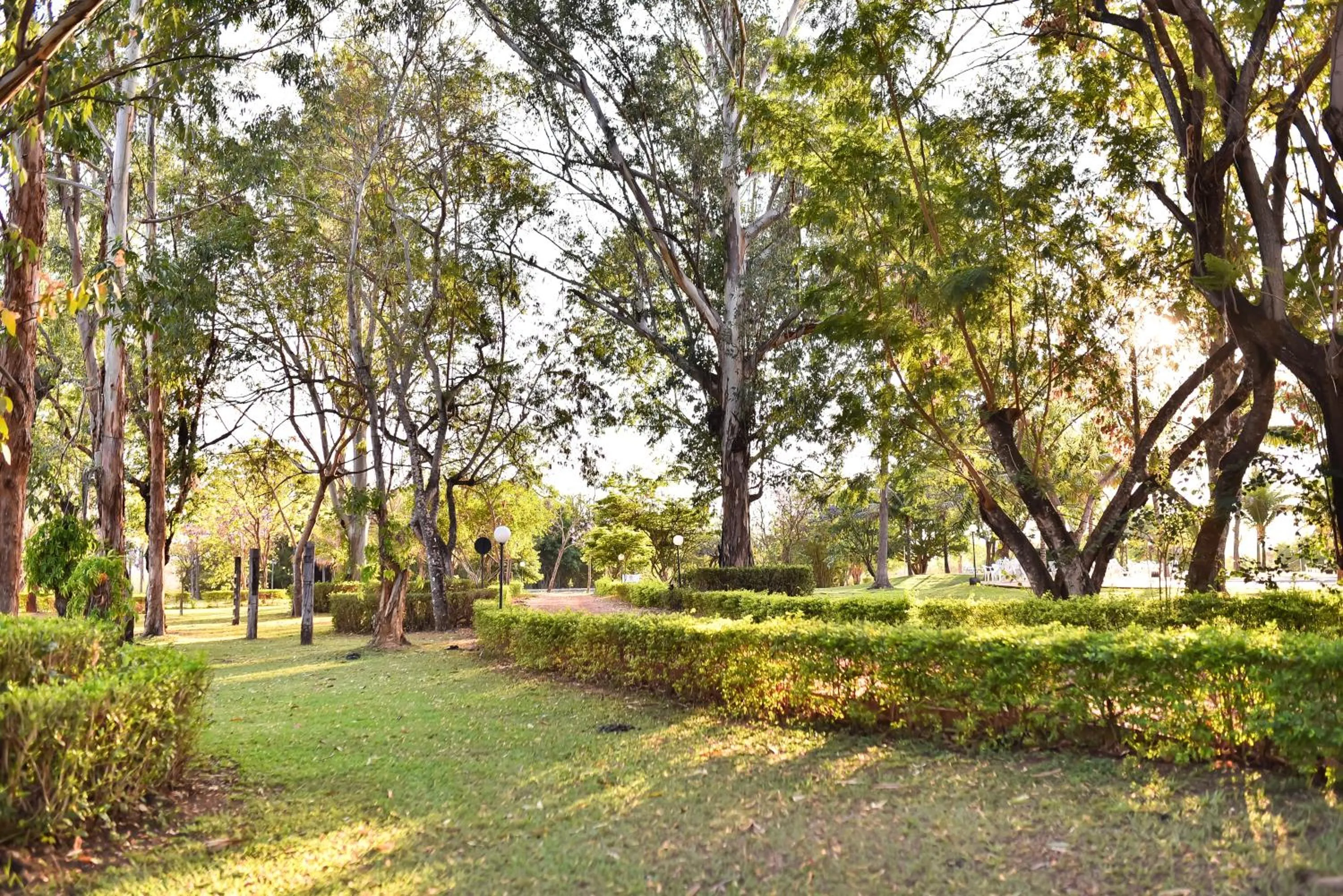 Natural landscape in Hotel Fazenda Bonjuá