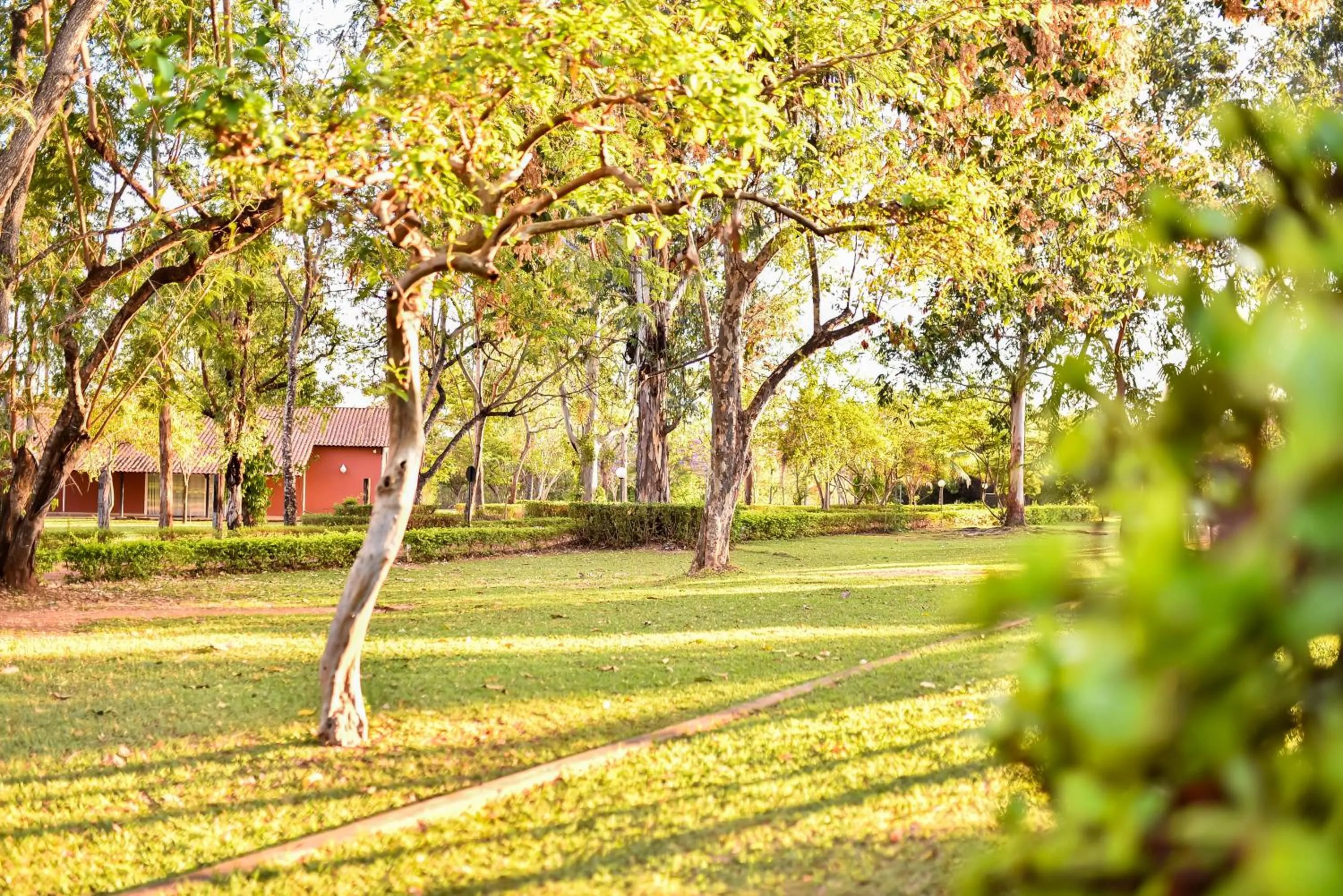 Natural landscape in Hotel Fazenda Bonjuá