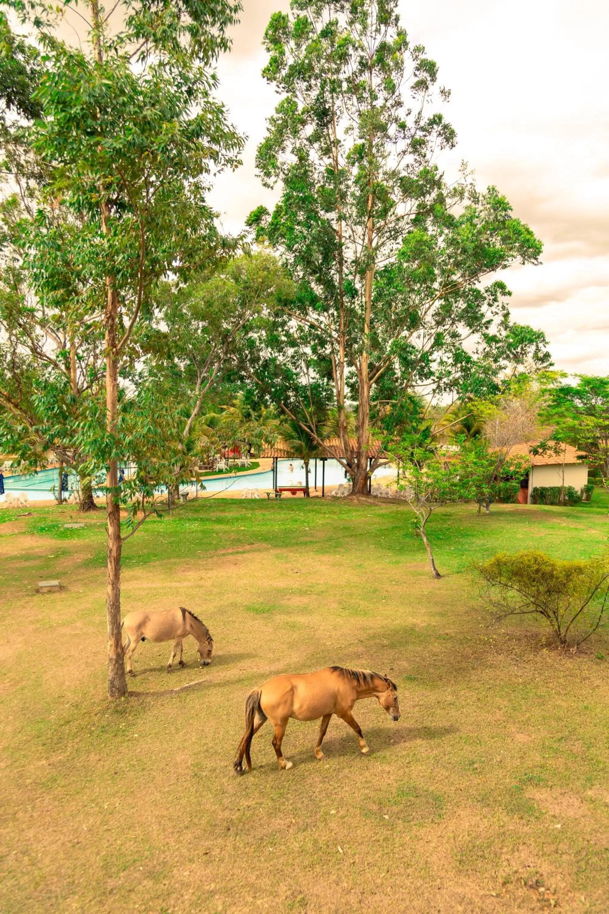 View (from property/room) in Hotel Fazenda Bonjuá