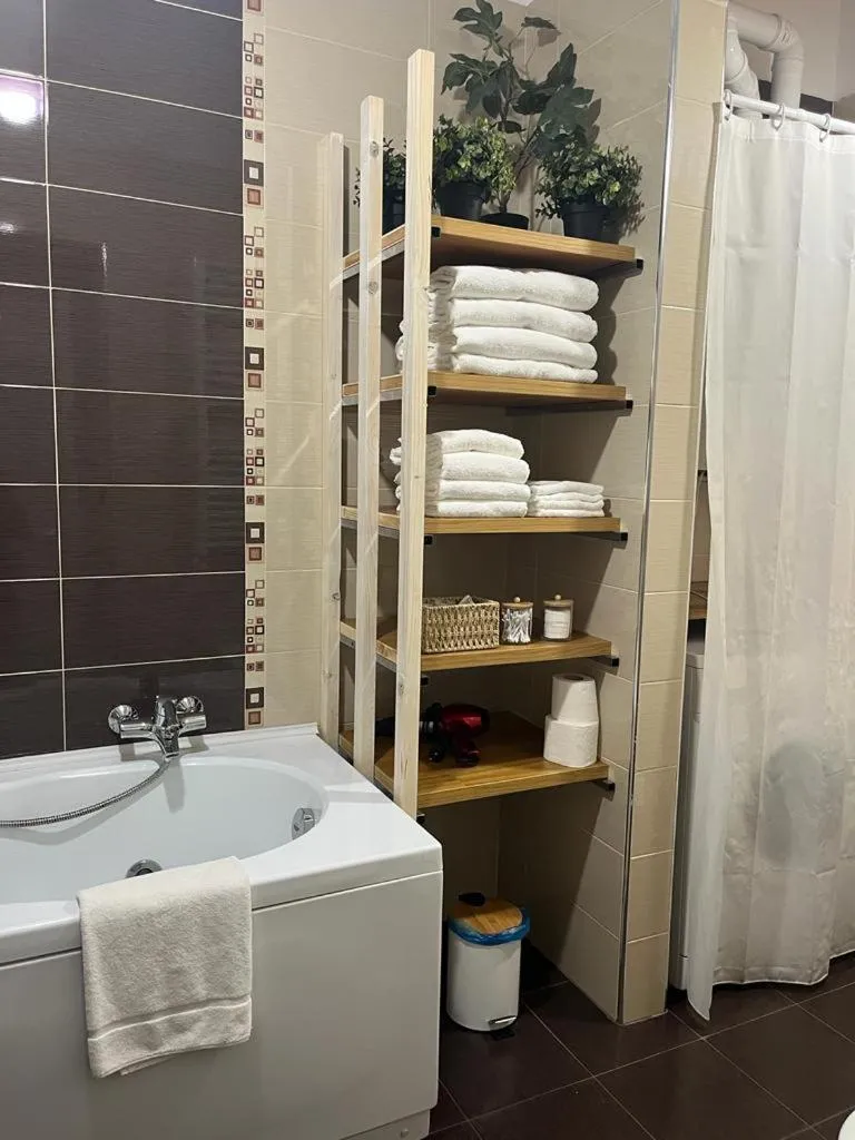 Shower in Duomo family house