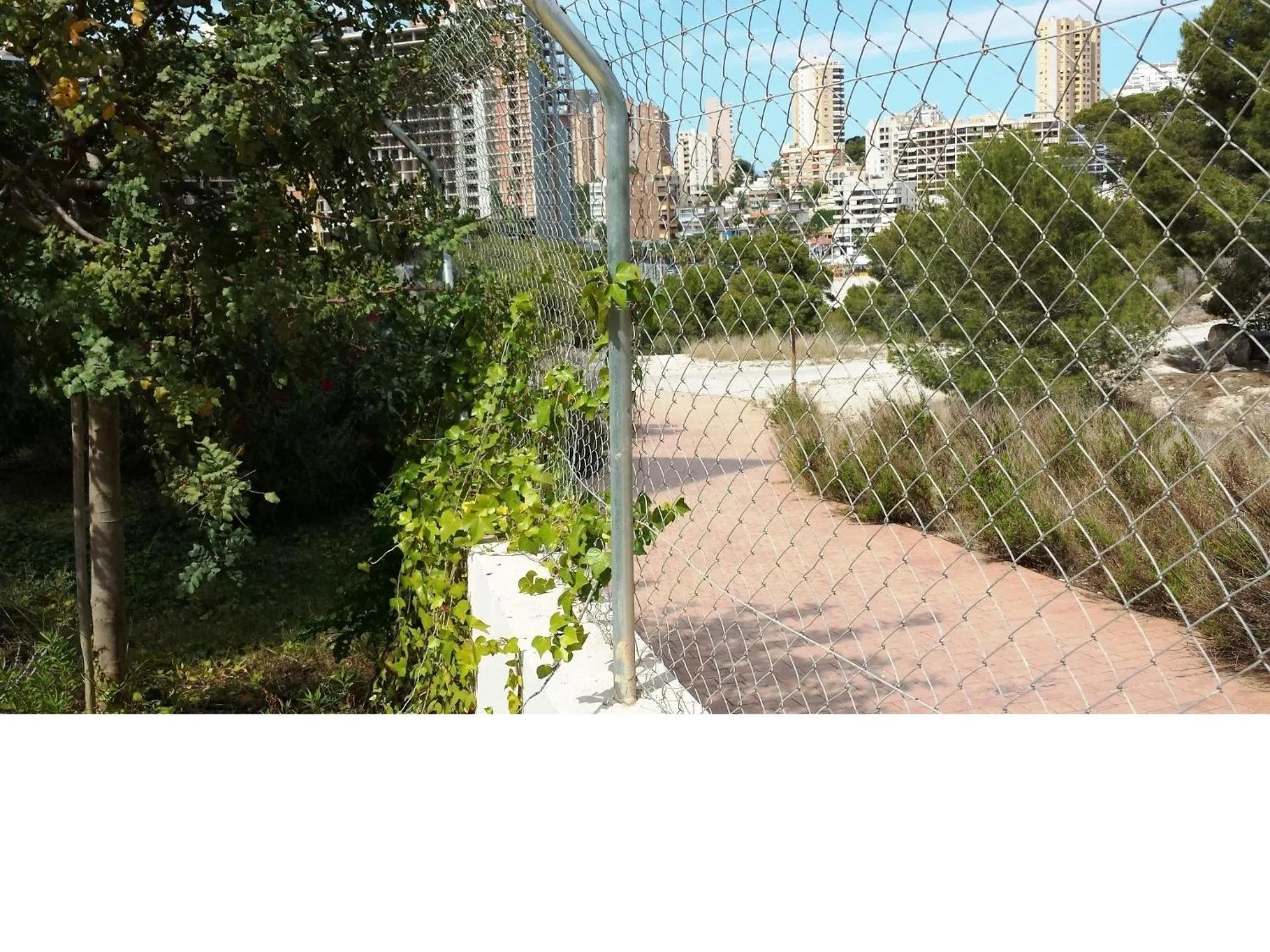 Area and facilities in Ballesol Costablanca Senior Resort mayores de 55 años