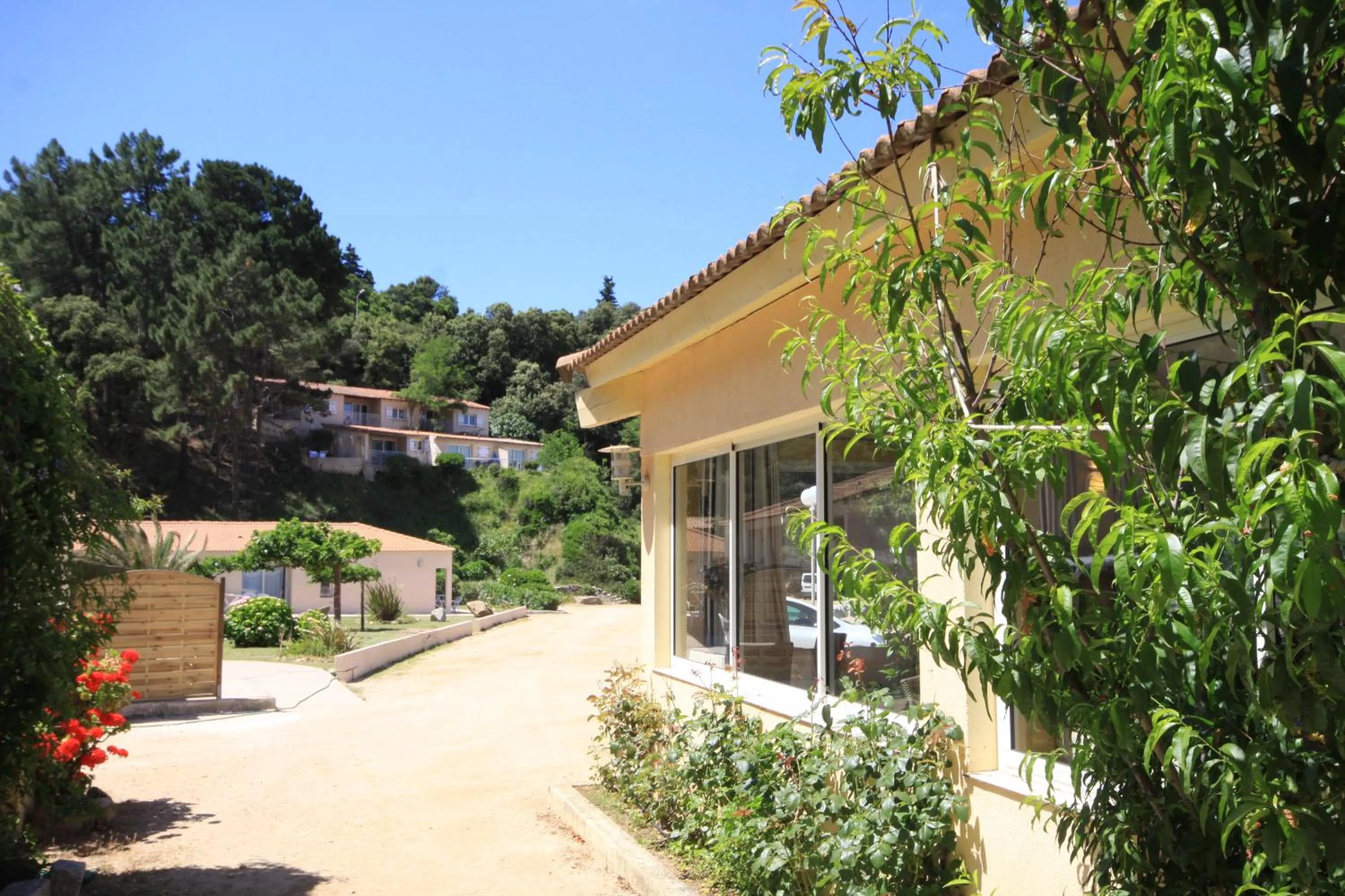 Facade/entrance in Hôtel Sampiero