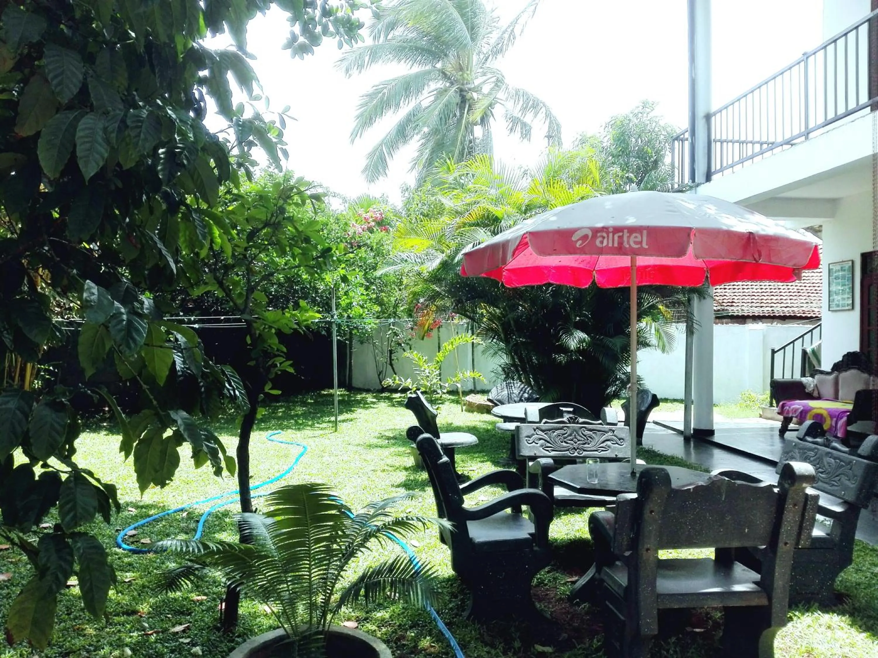 Garden view in Takeshi Inn