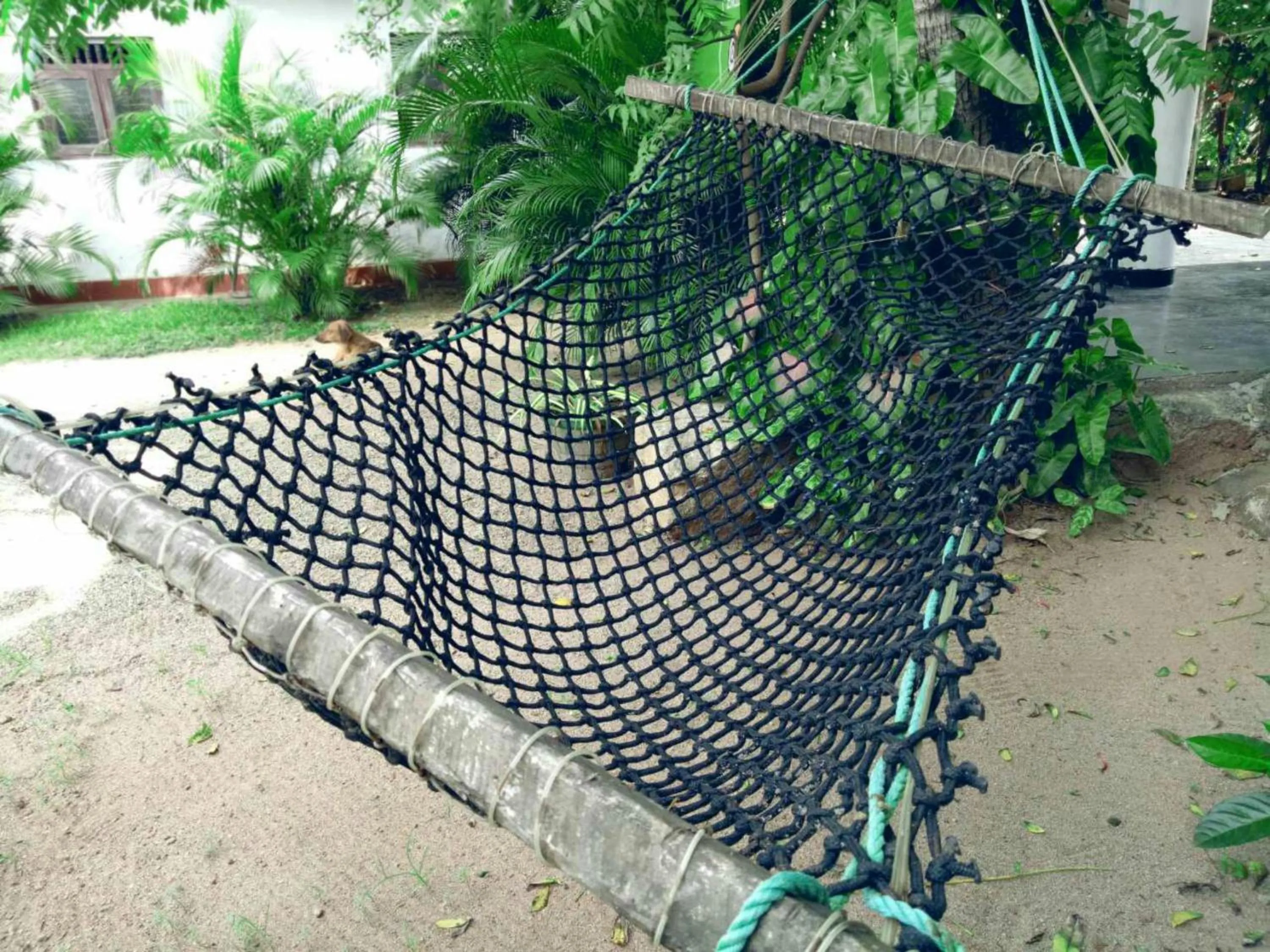 Garden in Takeshi Inn