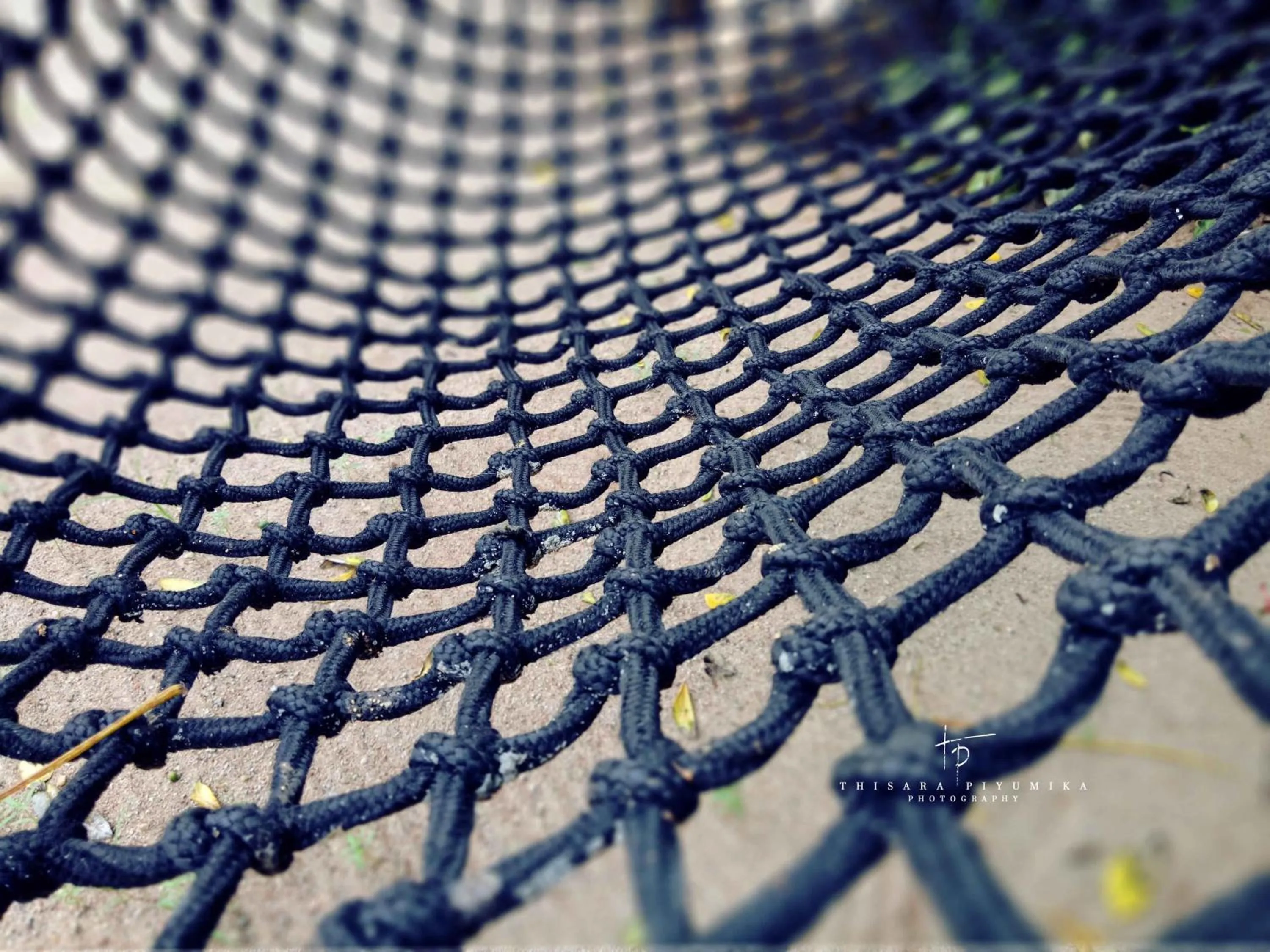 Other in Takeshi Inn