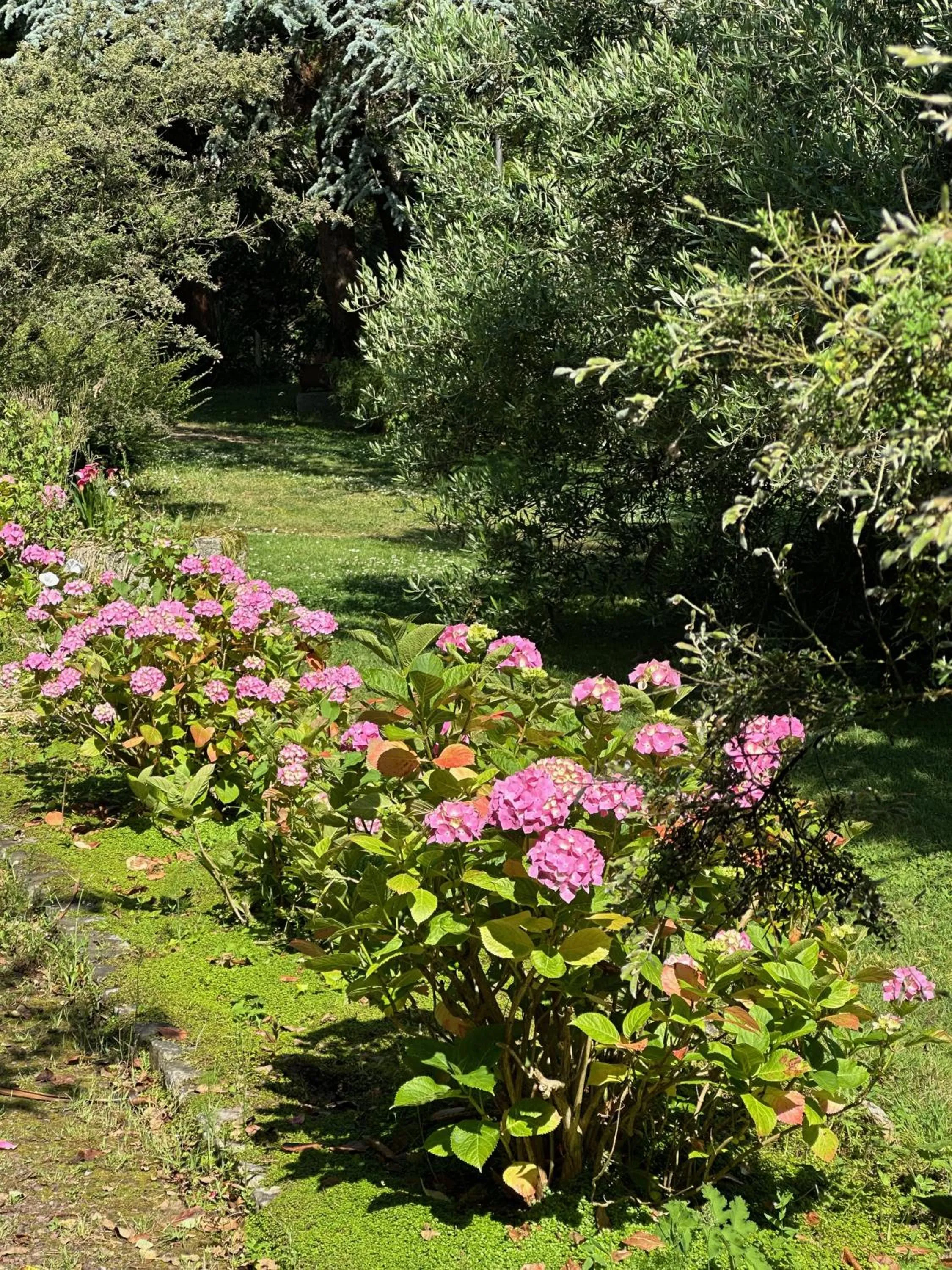 Garden in Logis Hôtel La Demeure du Perron