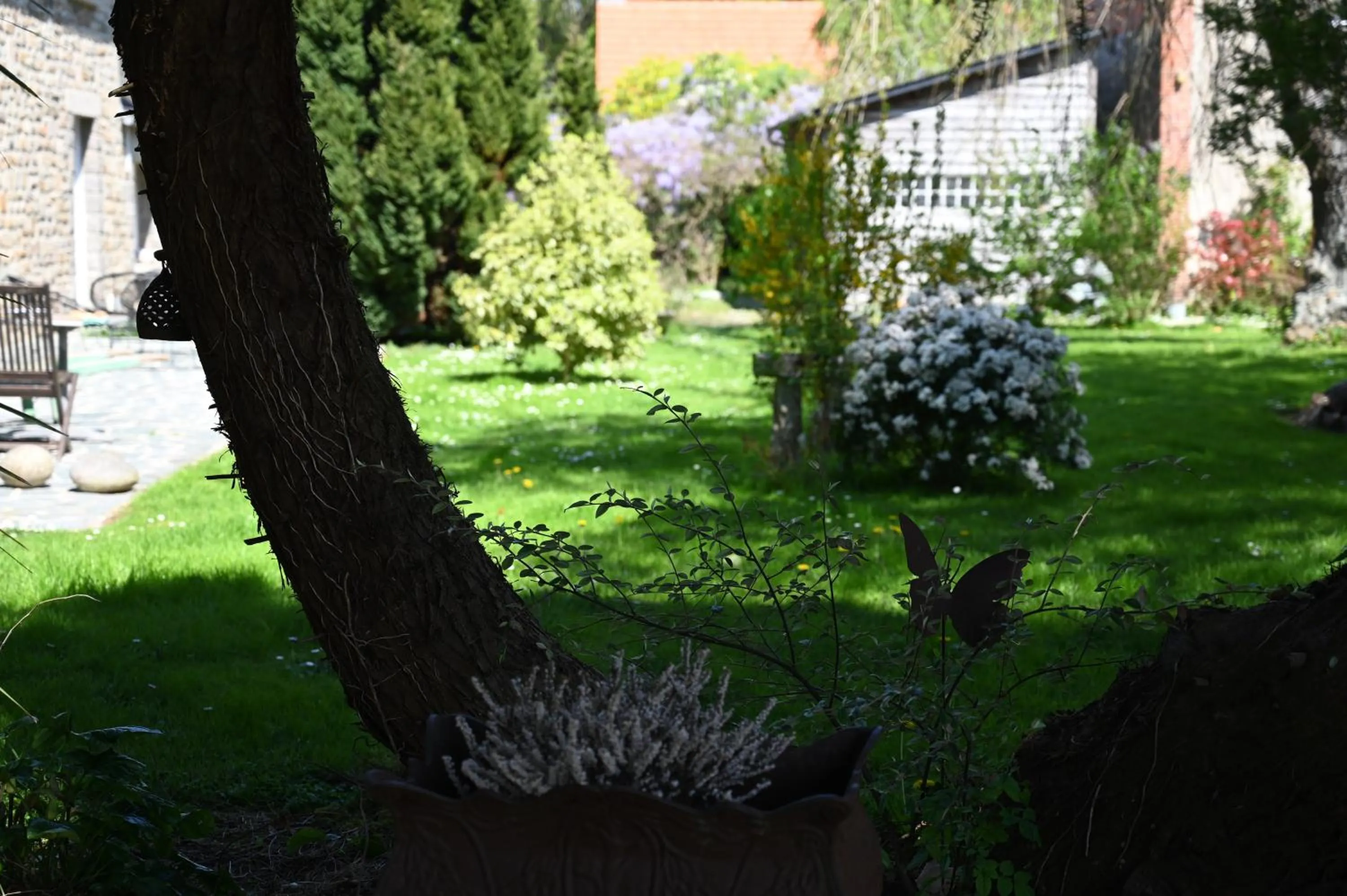 Garden in Logis Hôtel La Demeure du Perron