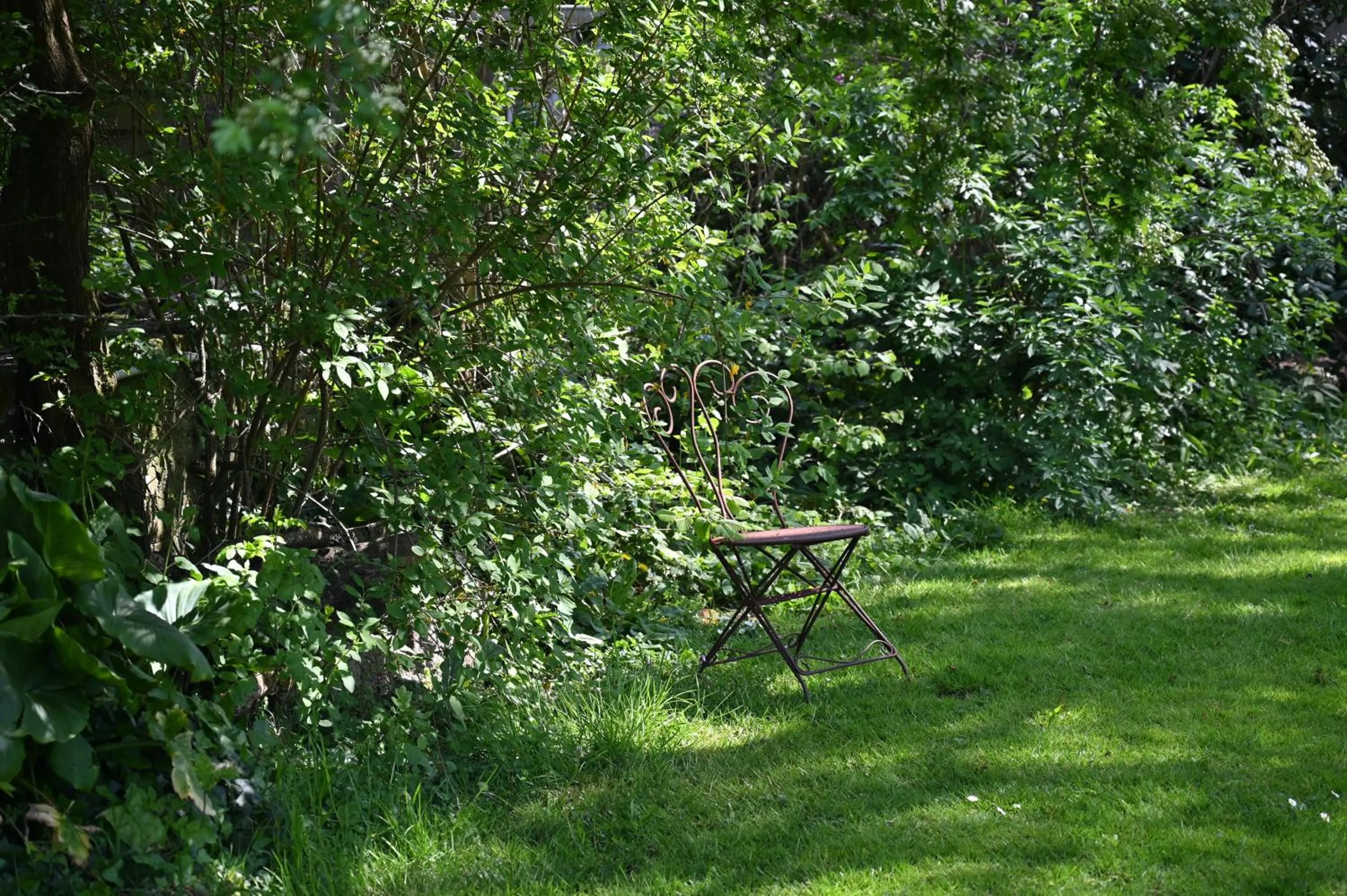 Garden in Logis Hôtel La Demeure du Perron