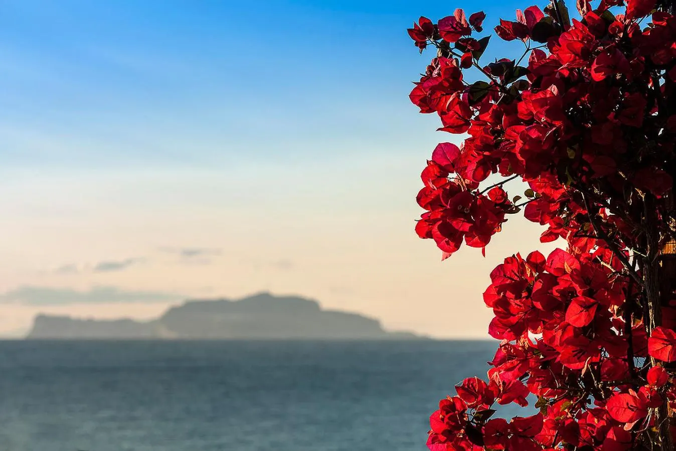 View (from property/room) in La Villa Resort & Spa