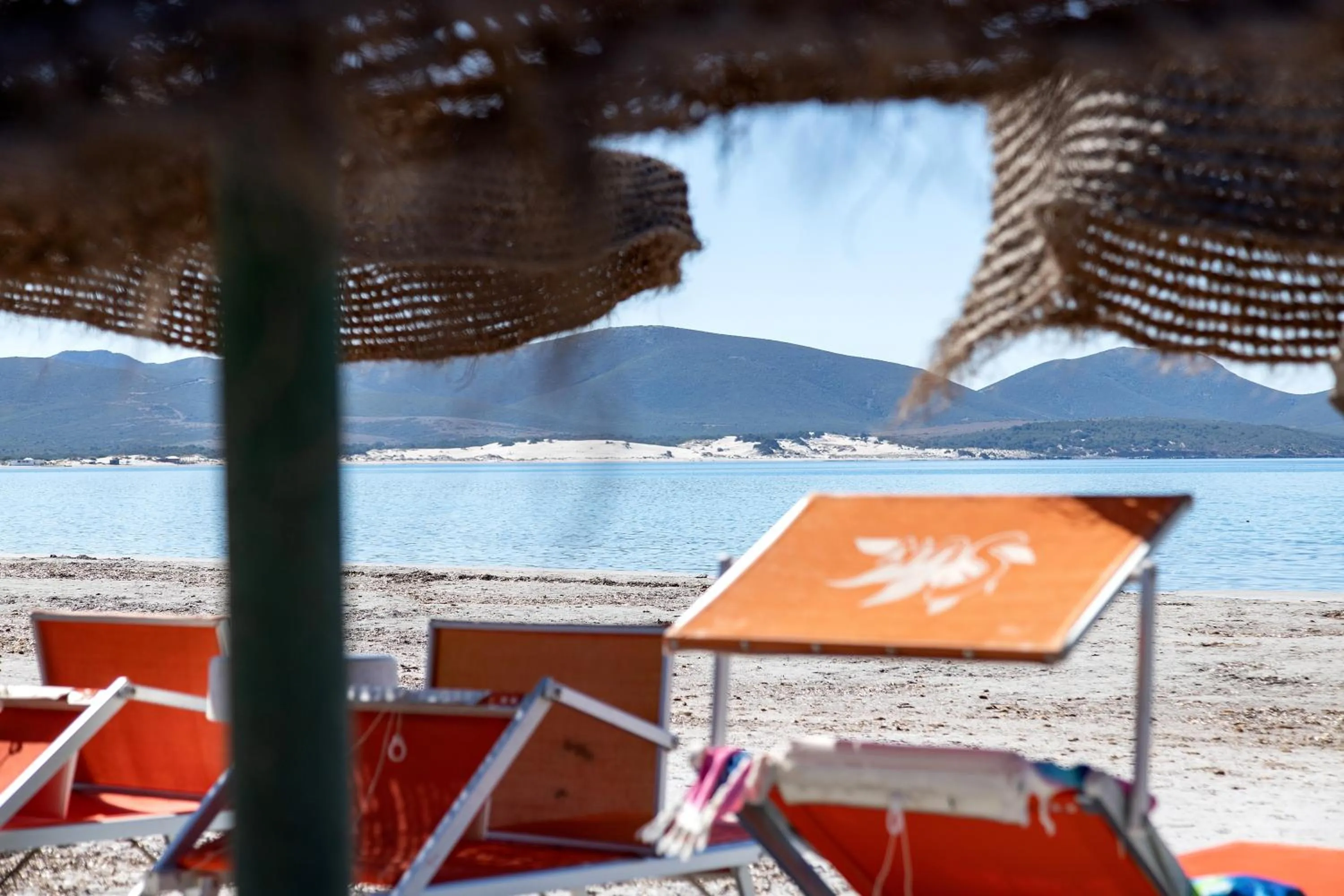 Beach in Hotel Cala Dei Pini