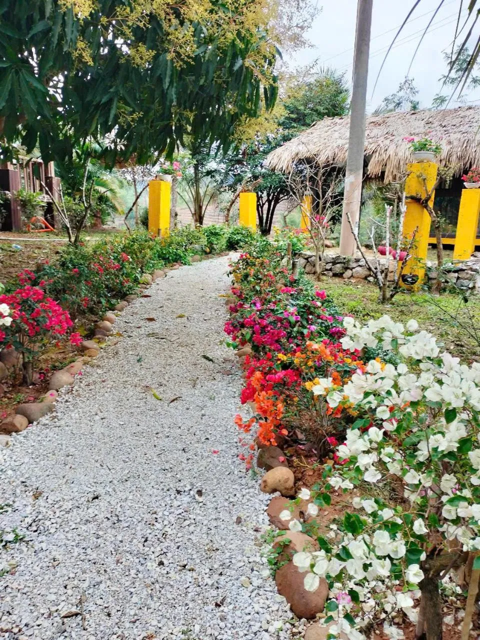 Mai Chau Onsen Retreat