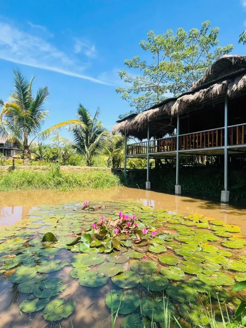 Day in Mai Chau Onsen Retreat