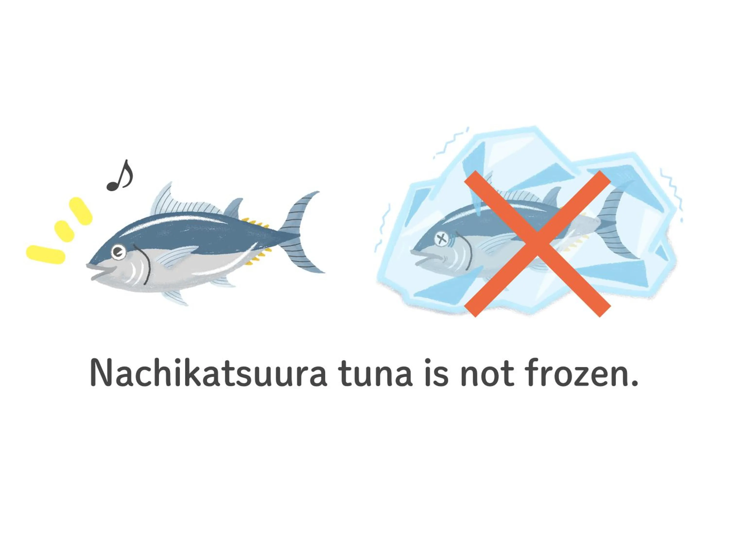 Dinner in KAMENOI HOTEL Nachi Katsuura