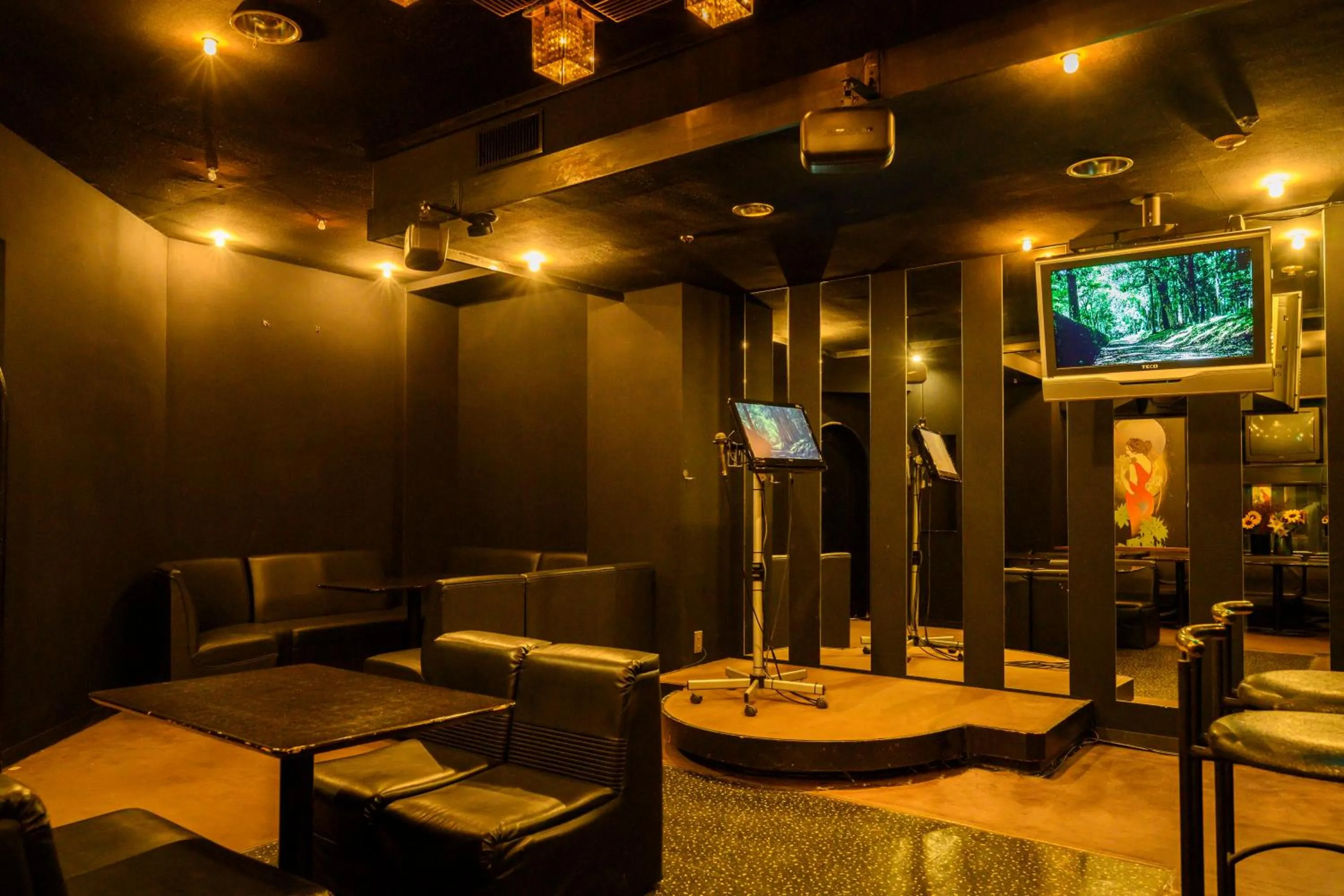 Karaoke in KAMENOI HOTEL Nachi Katsuura