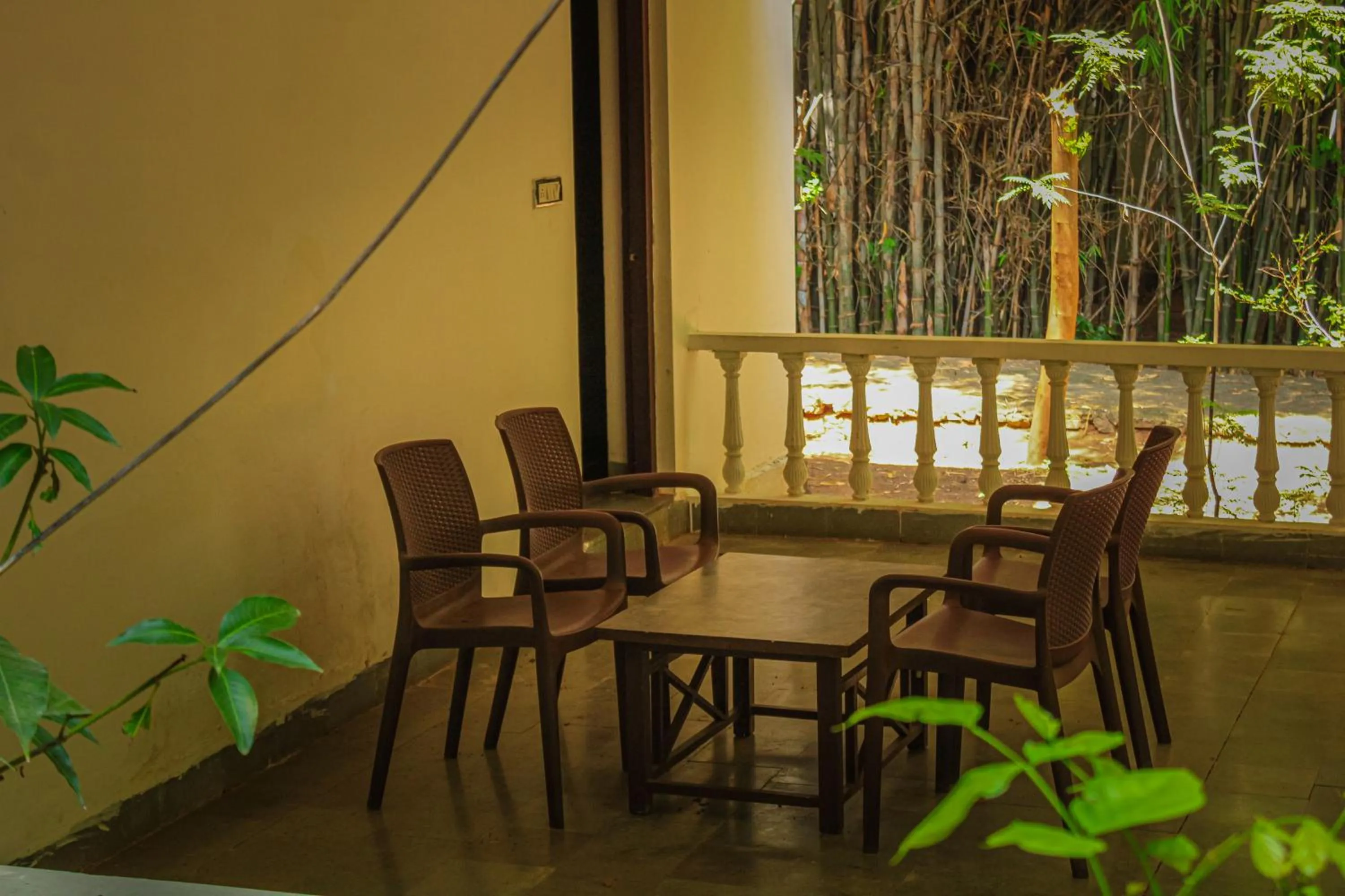 Seating area in Panna Tiger Resort- Riverside Property