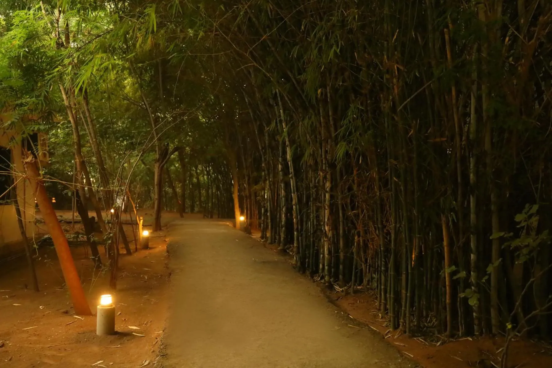 Garden in Panna Tiger Resort- Riverside Property