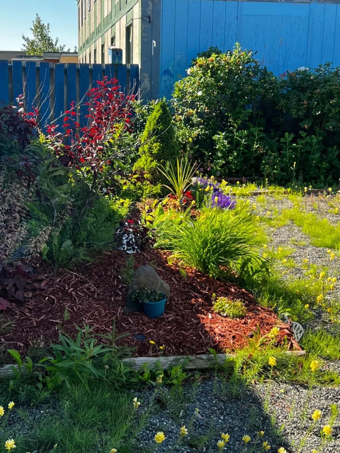 Garden in The Kenai Inn
