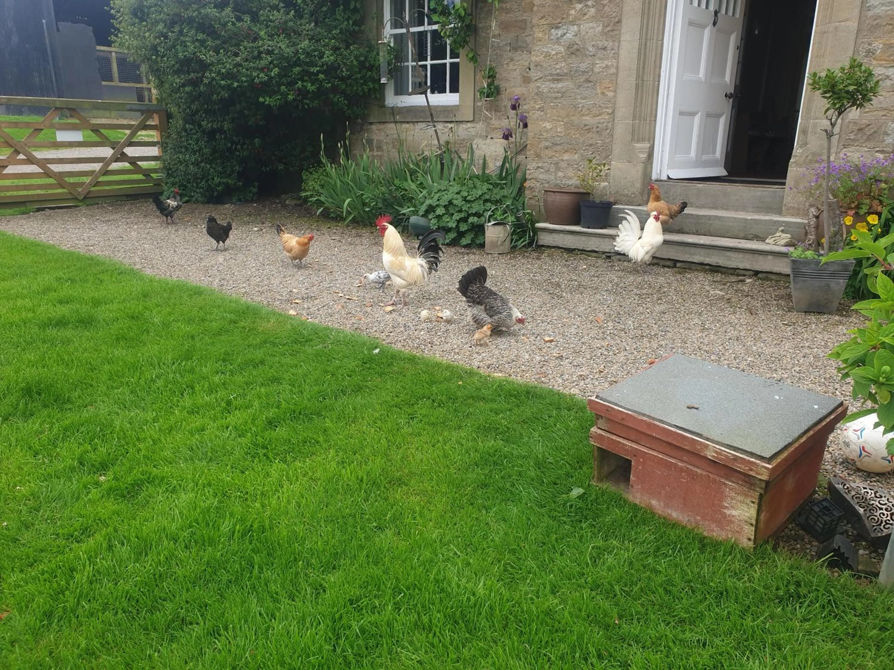 Low Gingerfield Farm B&B