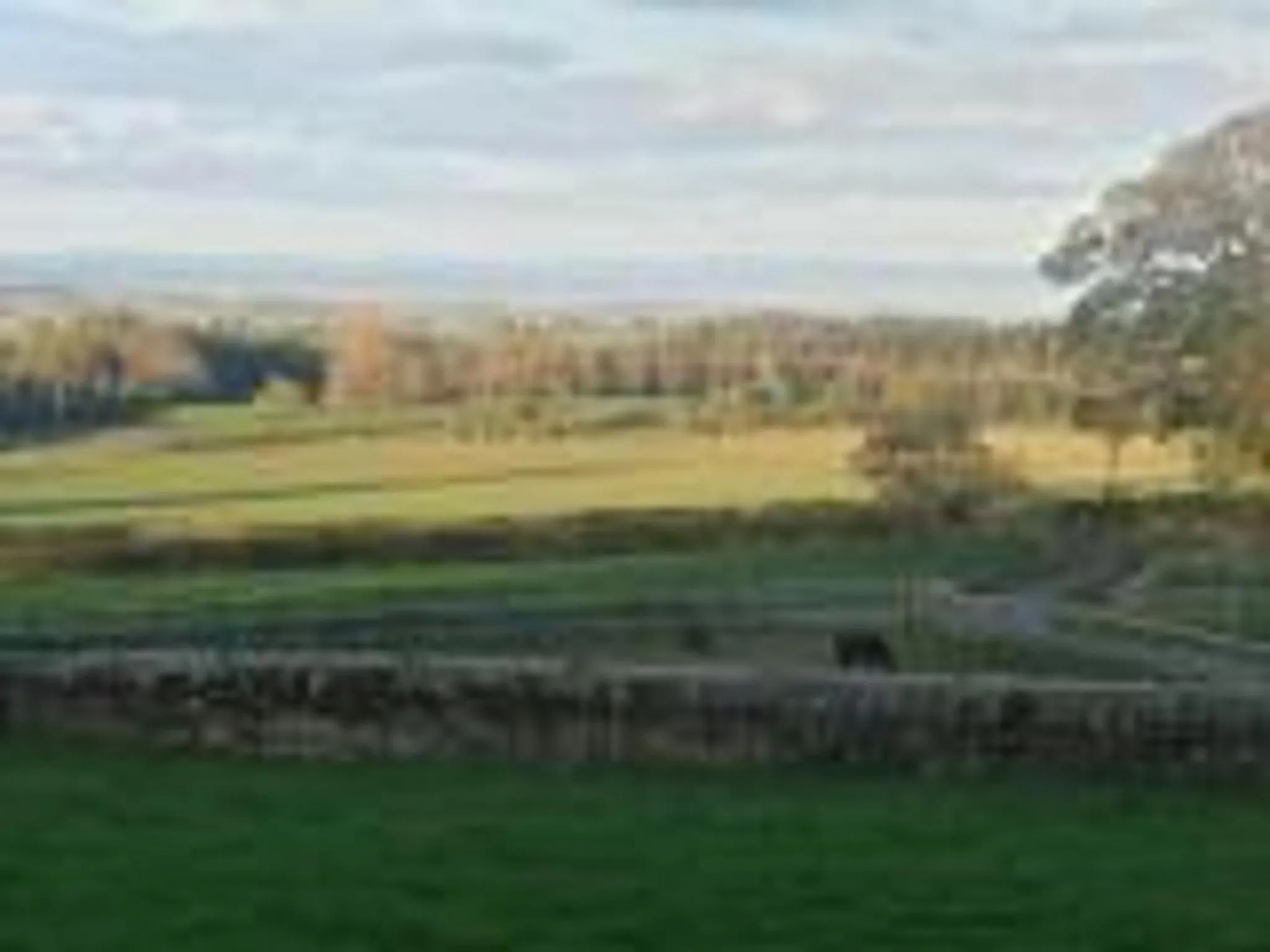 Low Gingerfield Farm B&B