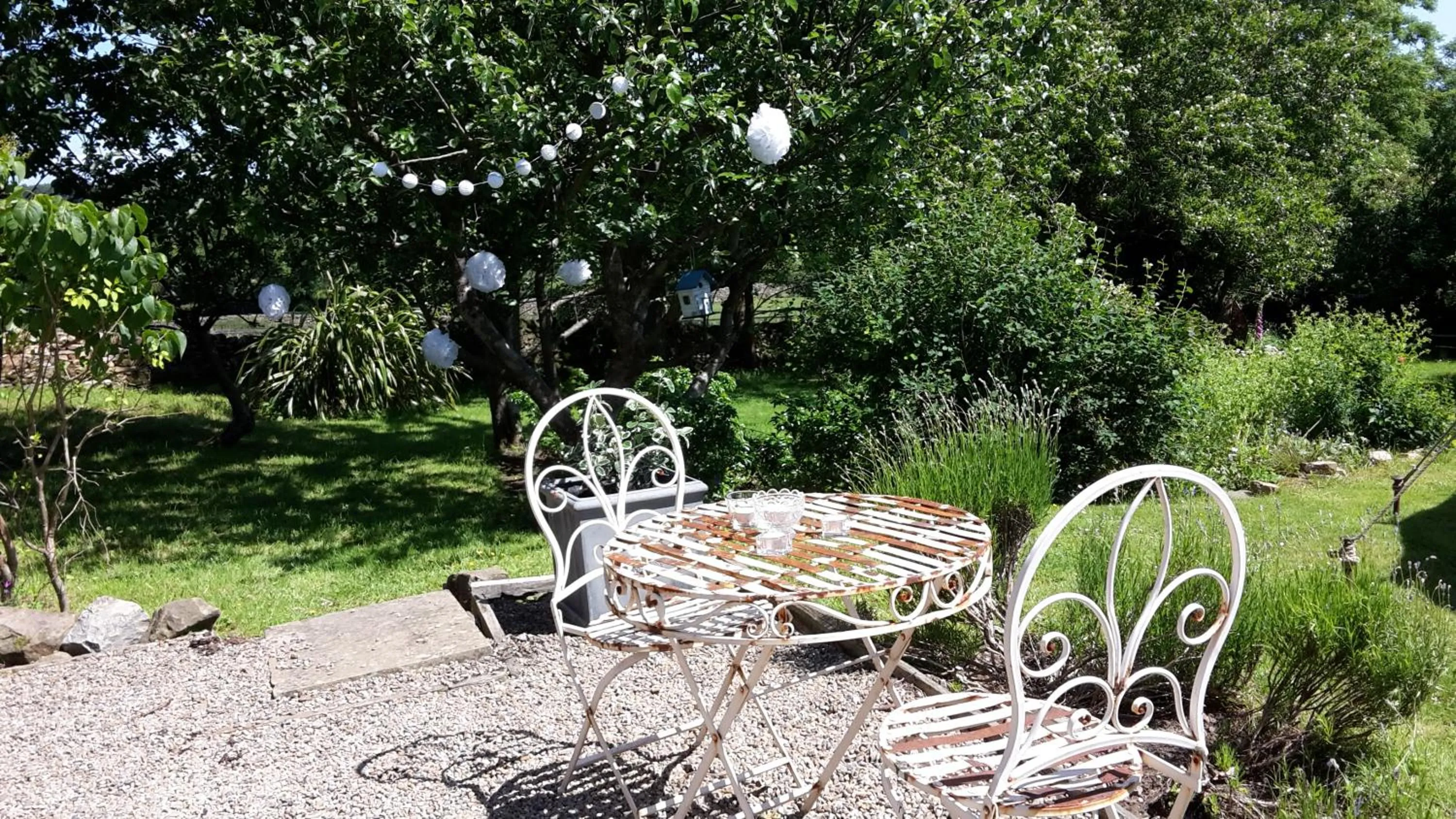 Low Gingerfield Farm B&B