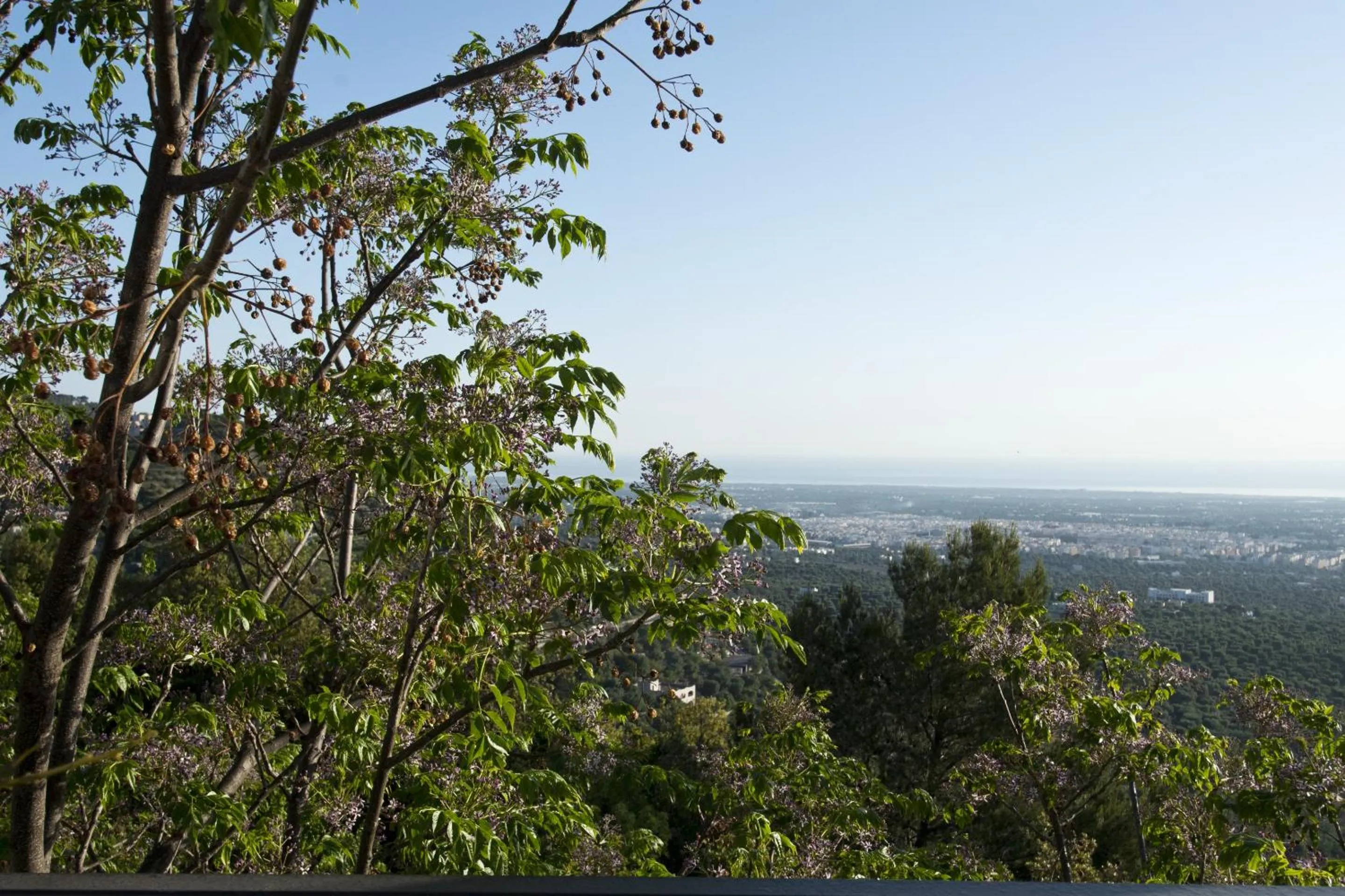 Day in Al Mirador Resort