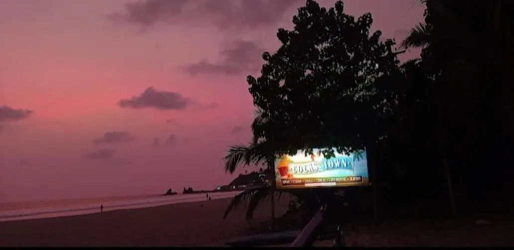 Natural landscape in COCKS TOWN