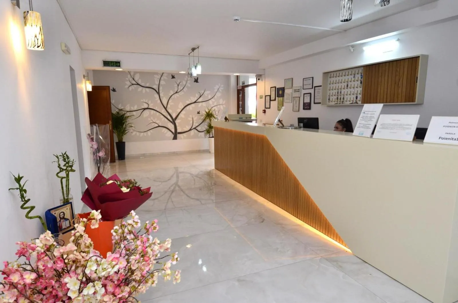 Hotel Poienita