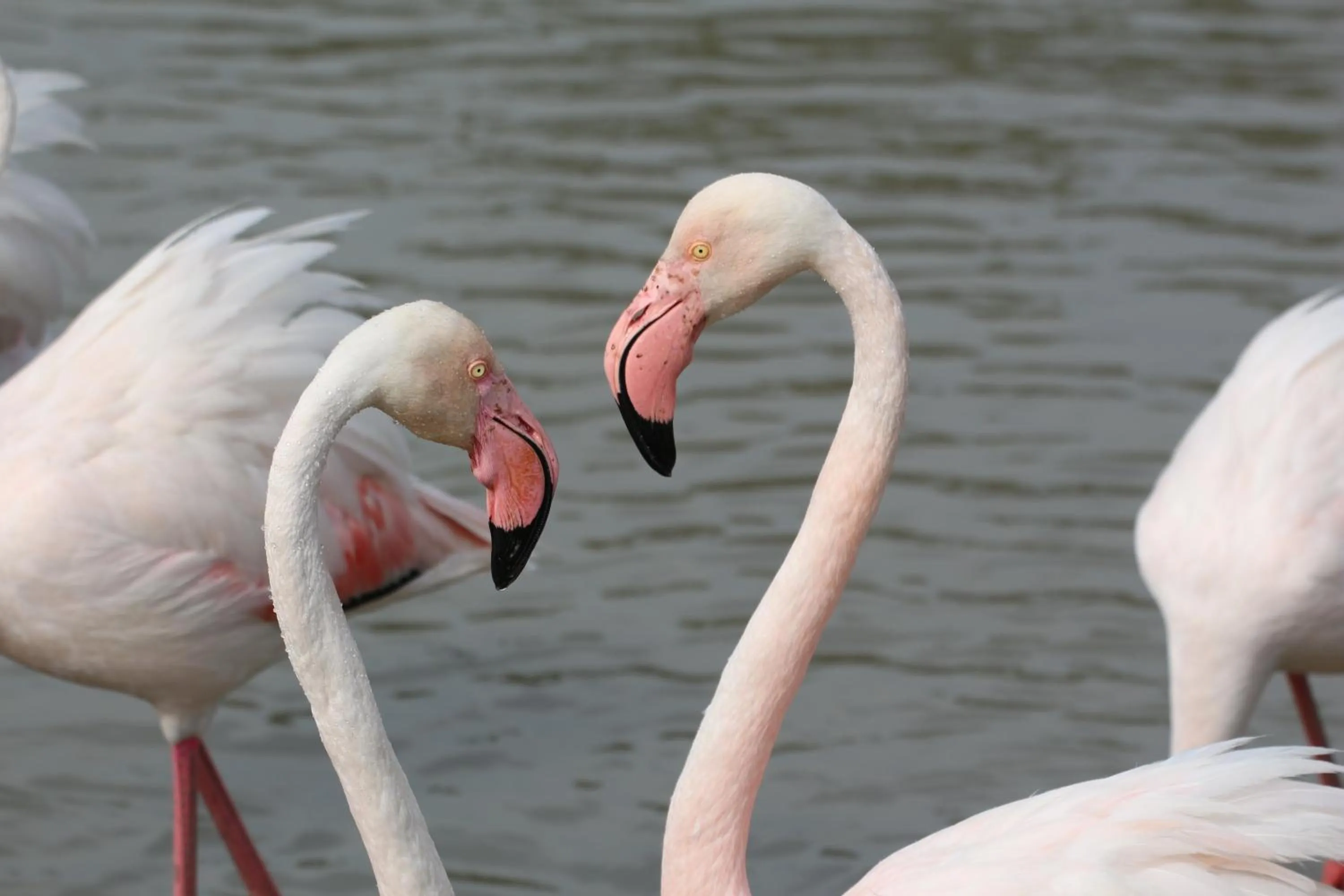 Off site in Logis Le Nid du Pont de Gau