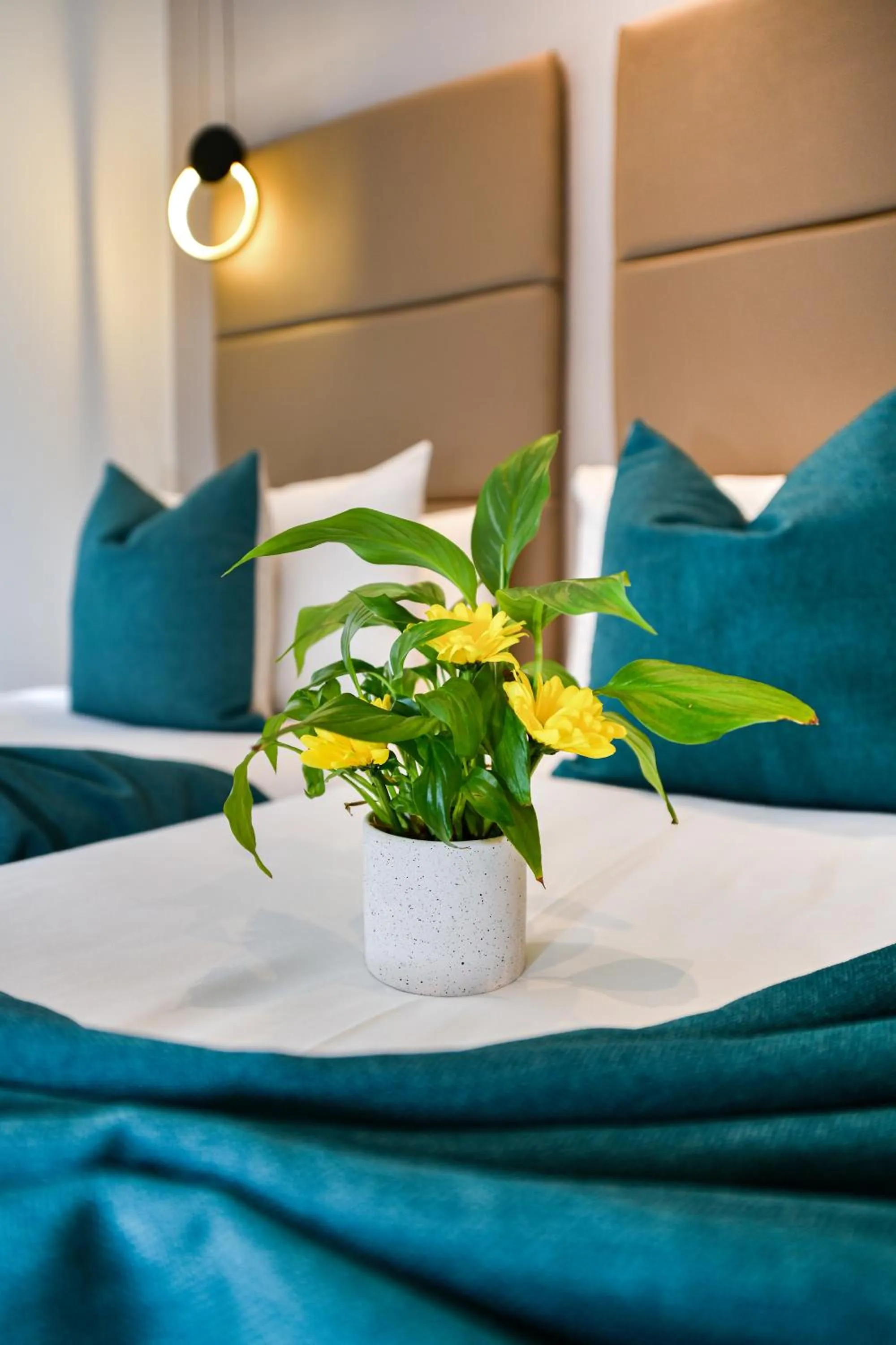 Queens Park Premier London Hyde Park