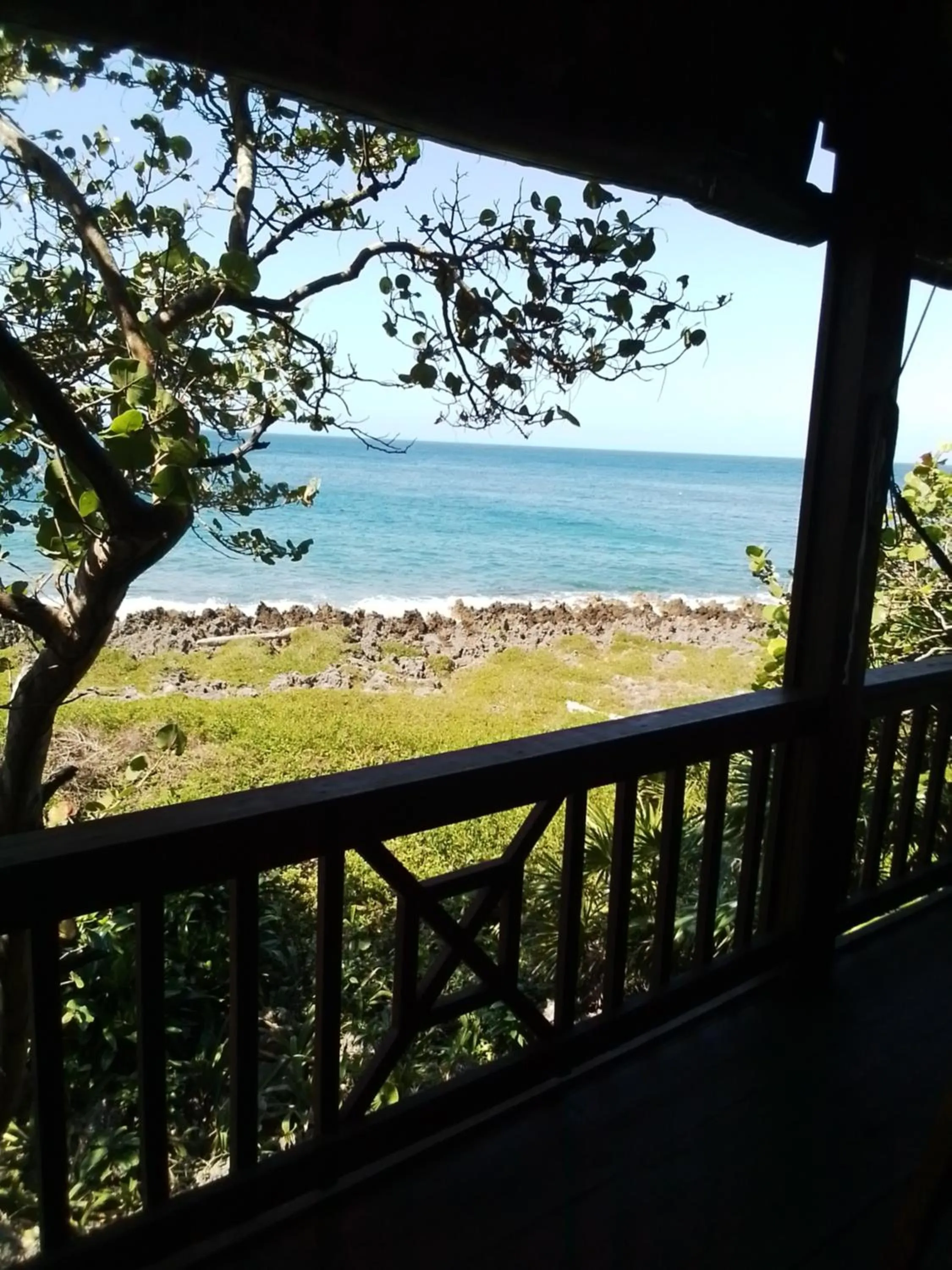 Natural landscape in Cocolobo Resort