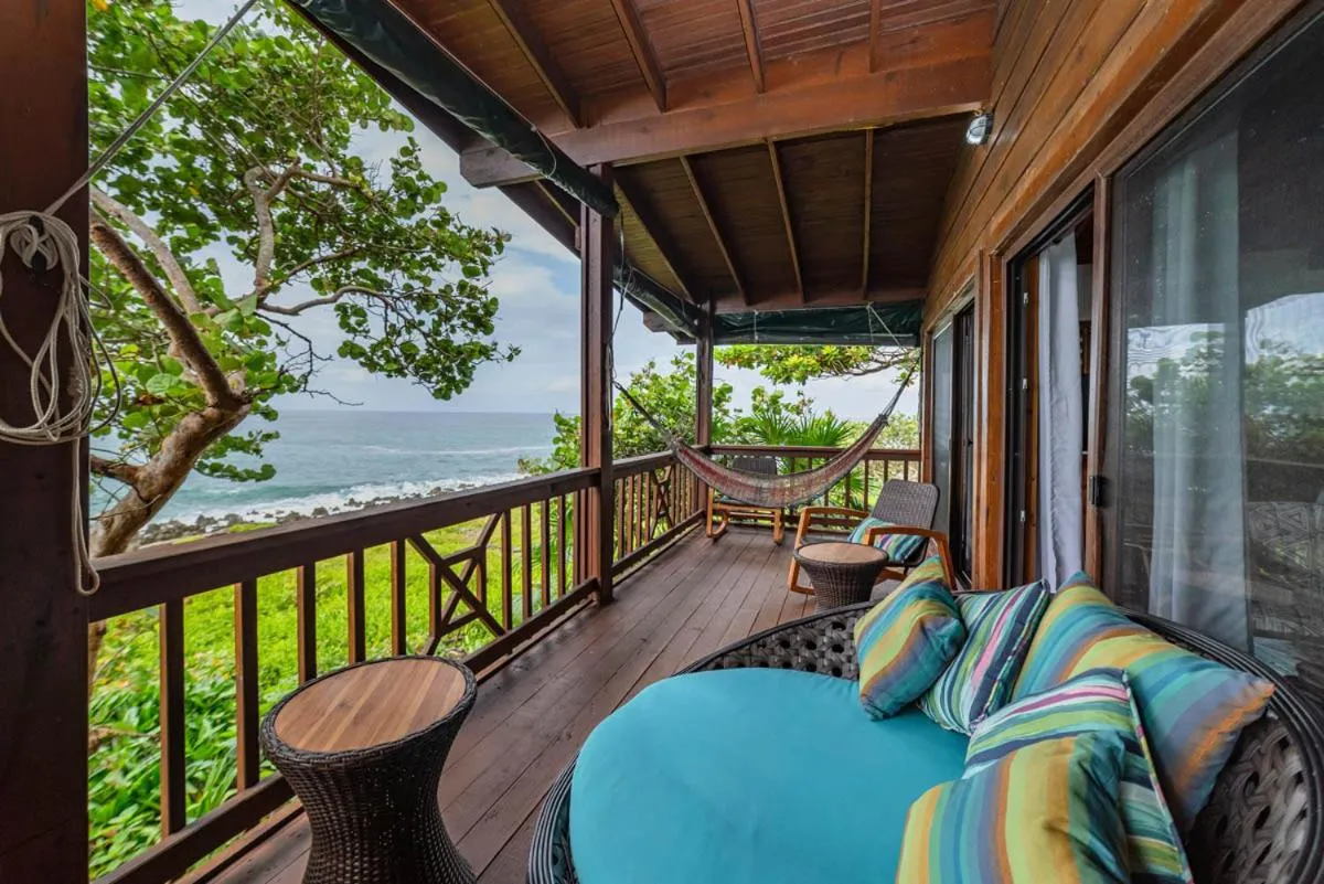 Natural landscape in Cocolobo Resort