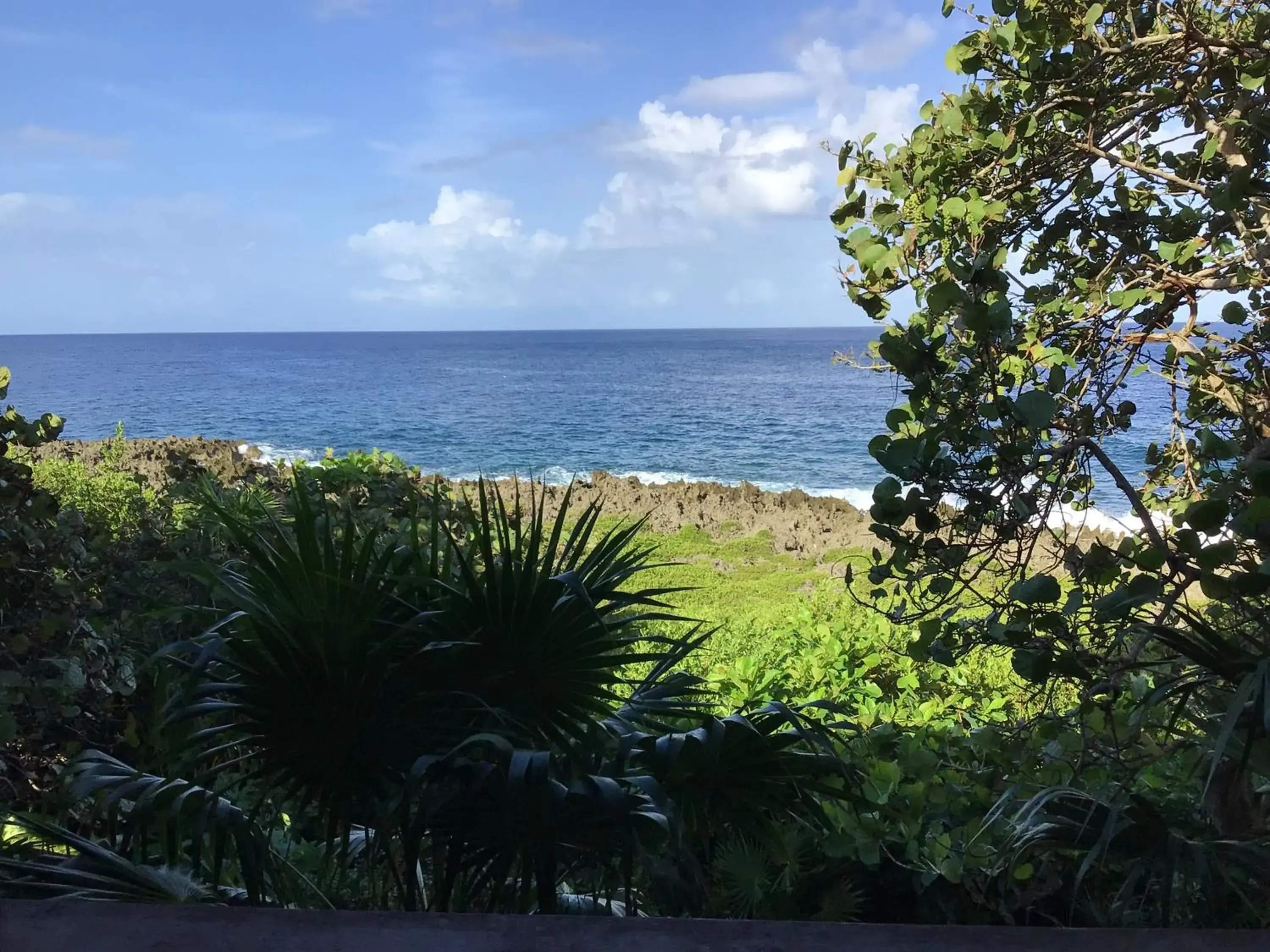 Studio with Ocean View in Cocolobo Resort Studio with Ocean View in Cocolobo Resort