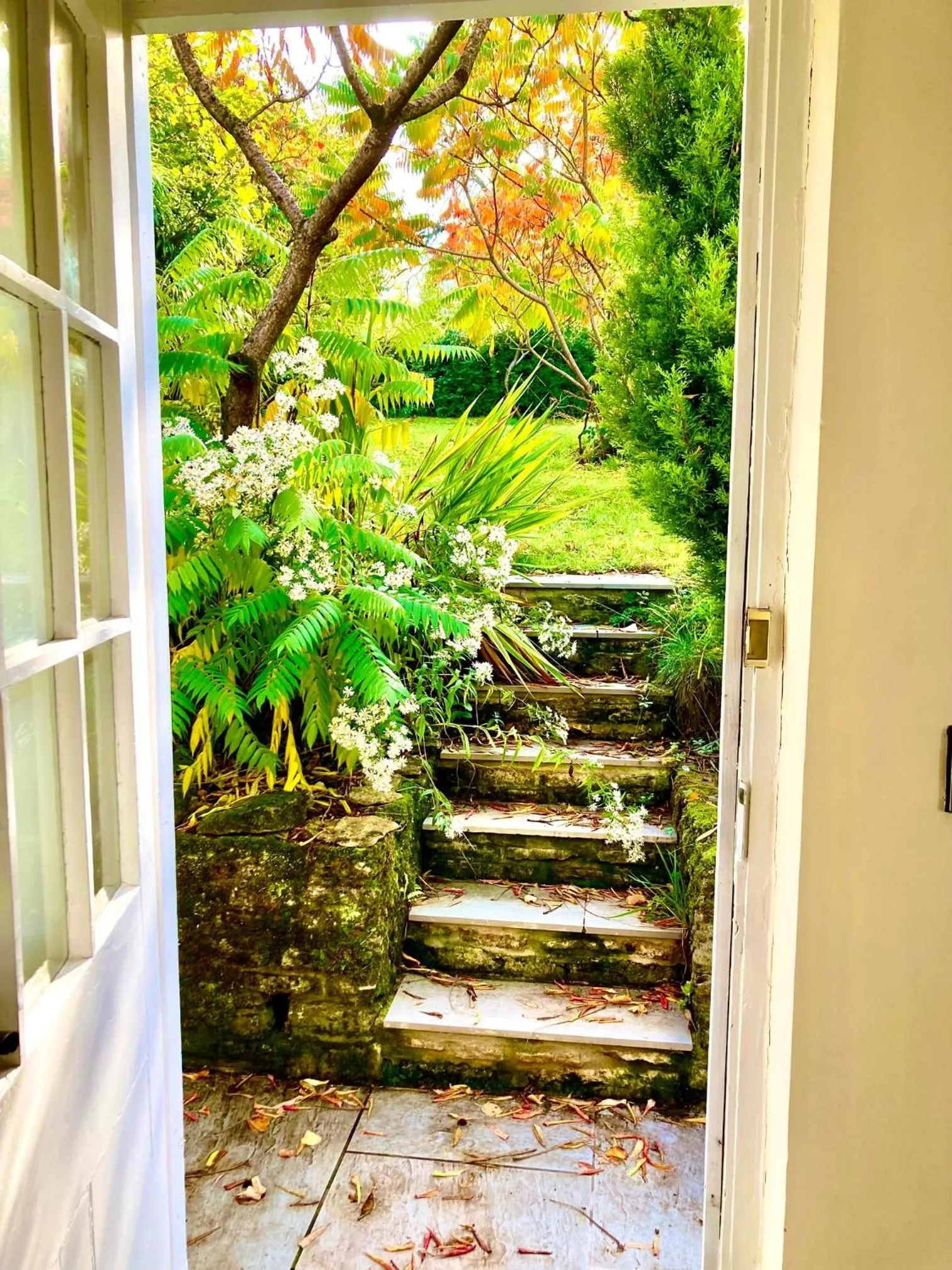 Orchardleigh Estate